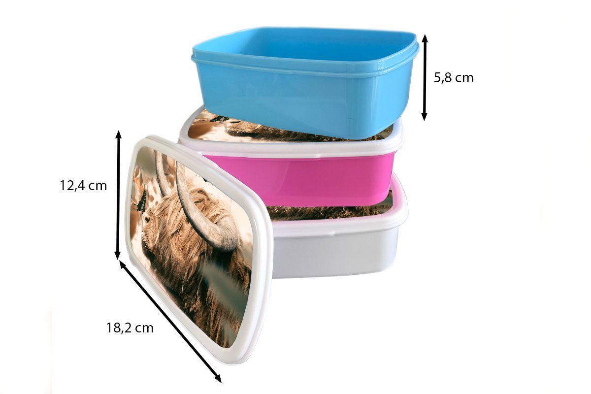 Lunchbox für Schottischer Kunststoff, Jungs Kinder Brotdose, Tiere, weiß - für Brotbox (2-tlg), Erwachsene, Hochländer MuchoWow Schmetterling Mädchen und und -