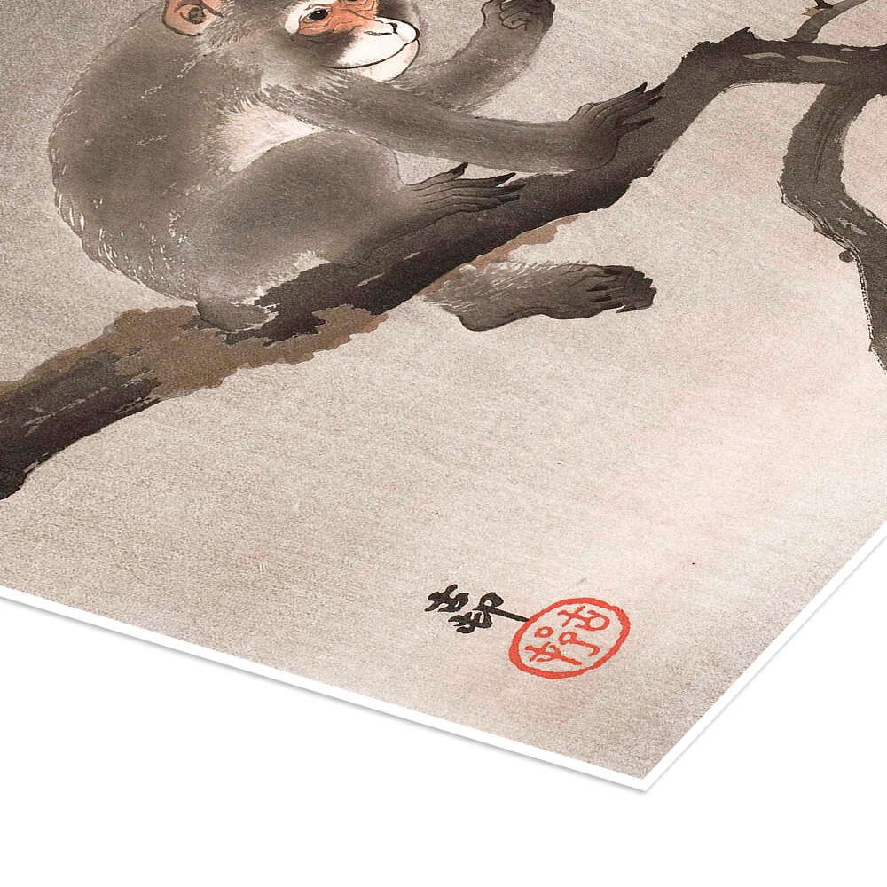 Posterlounge Wandbild Affe in einem Baum, Ohara Koson, erhältlich als Poster, Leinwandbild, Wandsticker oder Acrylglasbild