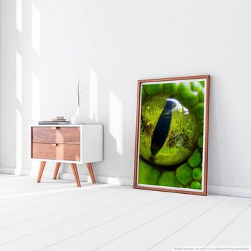Sinus Art Poster Tierfotografie 60x90cm Poster Detailaufnahme eines Auges der grünen Pythonschlange