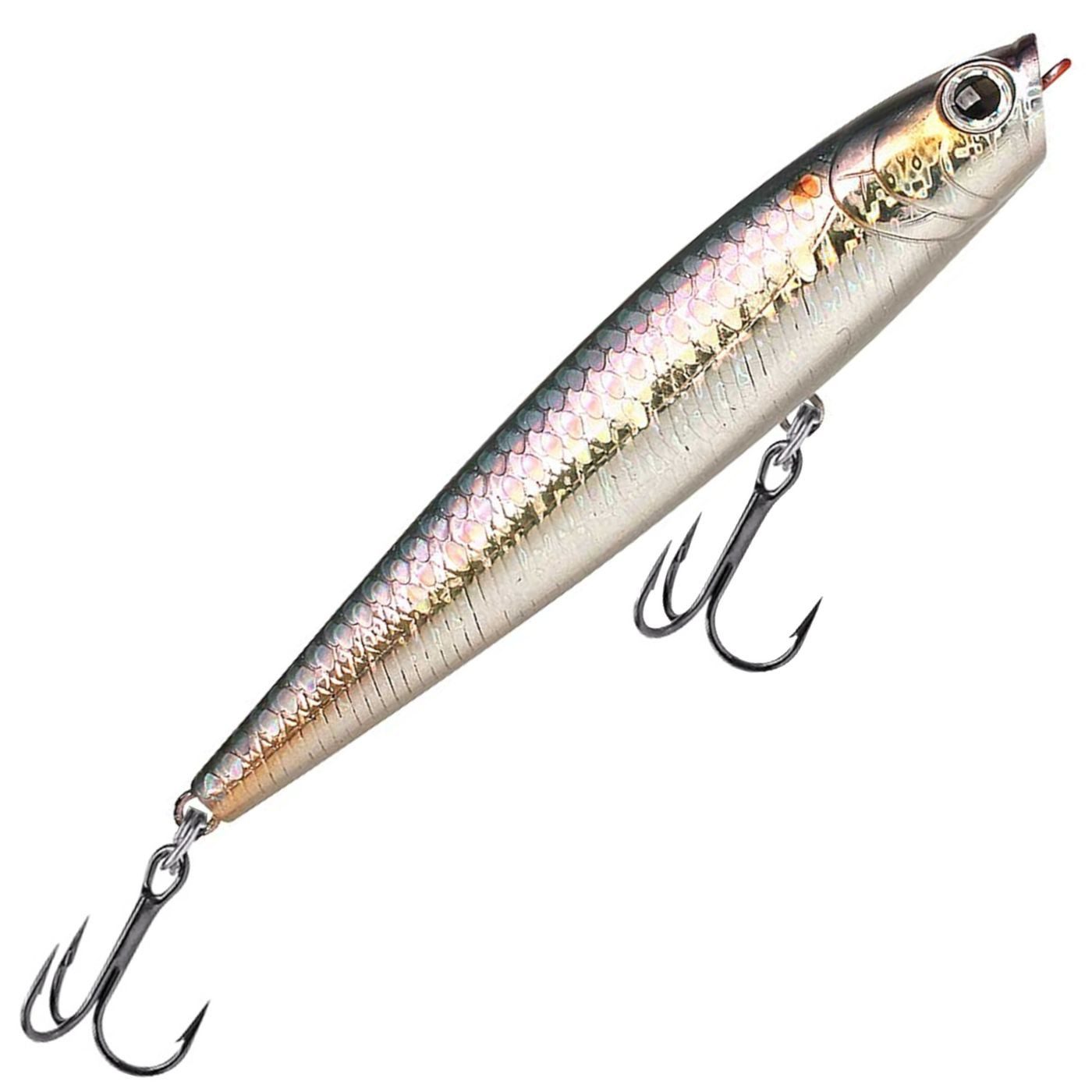 MS American Shad