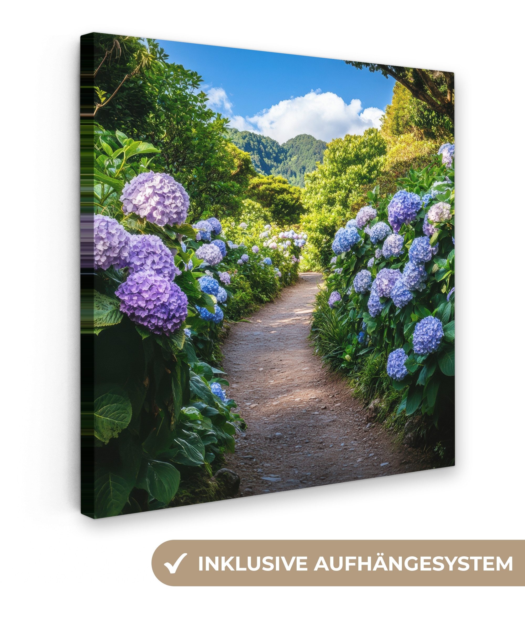 OneMillionCanvasses® Leinwandbild Hortsensia - Kröte - günstig online kaufen