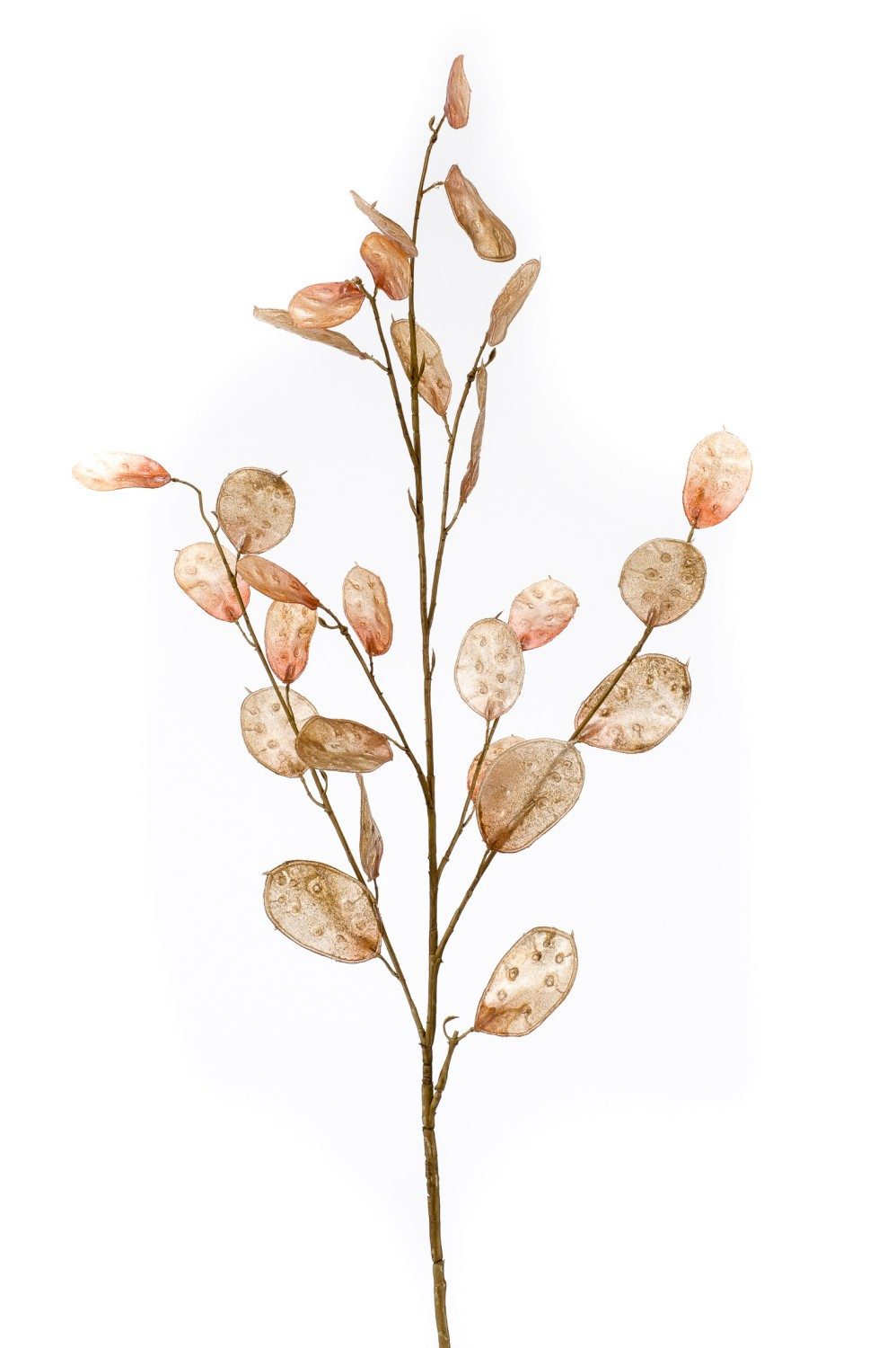 Kunstzweig Dekozweig Lunaria BUELNA, Hellbraun, 105cm Silberblatt, artplants, Höhe 105.0 cm