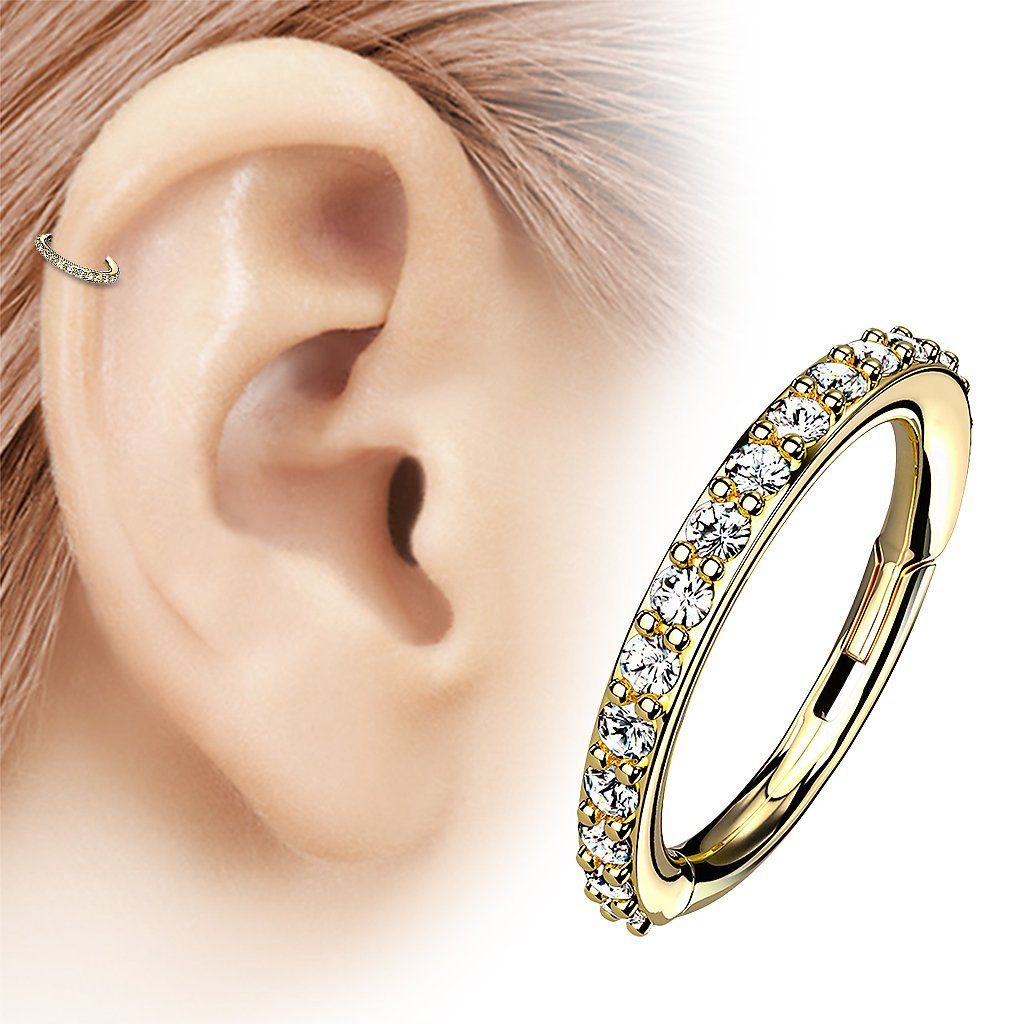 Taffstyle Nasenpiercing Piercing Segmentring Scharnier Clicker Kristall, Ring Helix Lippe Nasenring Nasenpiercing Ohrpiercing Creole Filigran