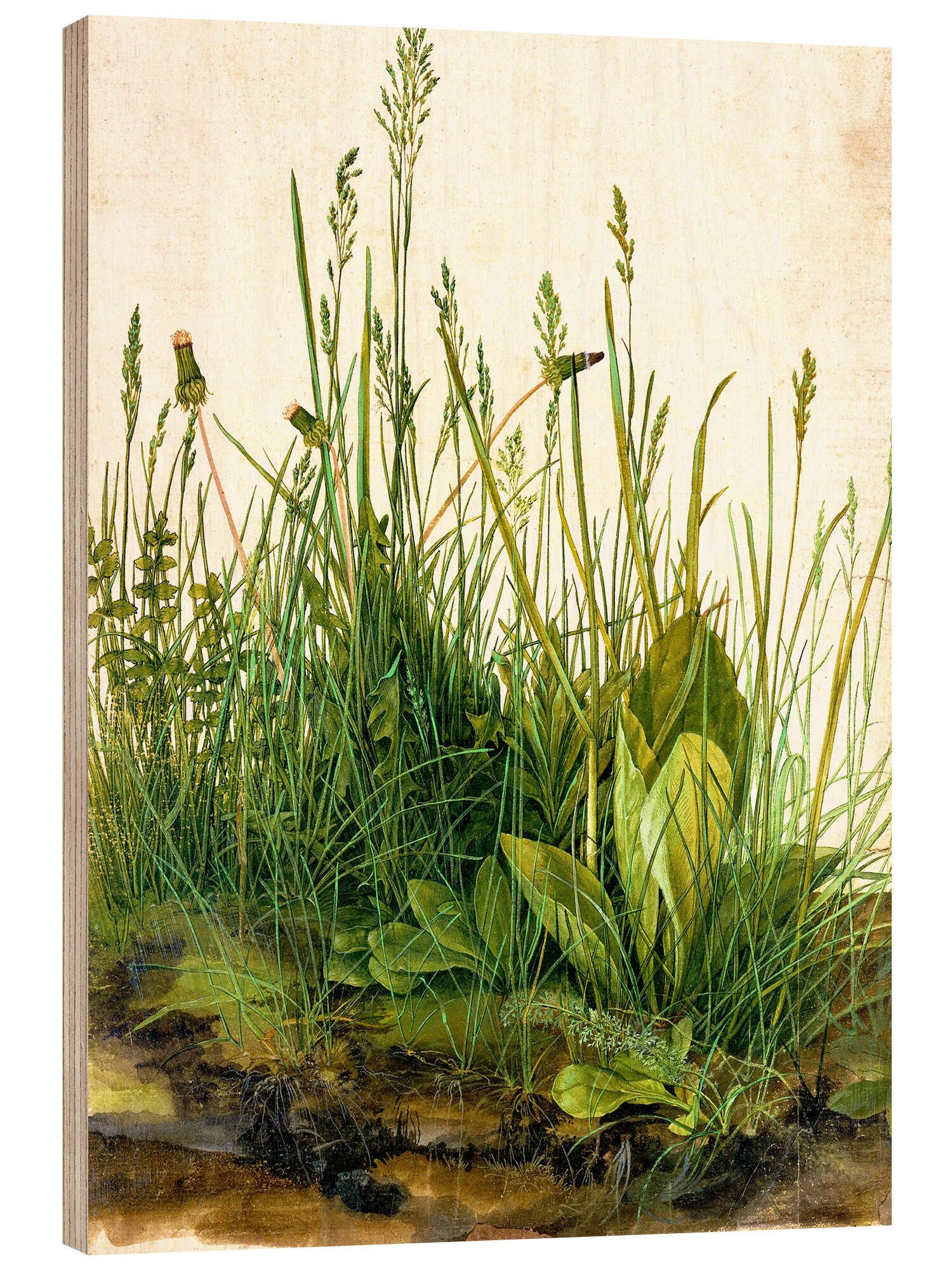Holzbild Albrecht Dürer
