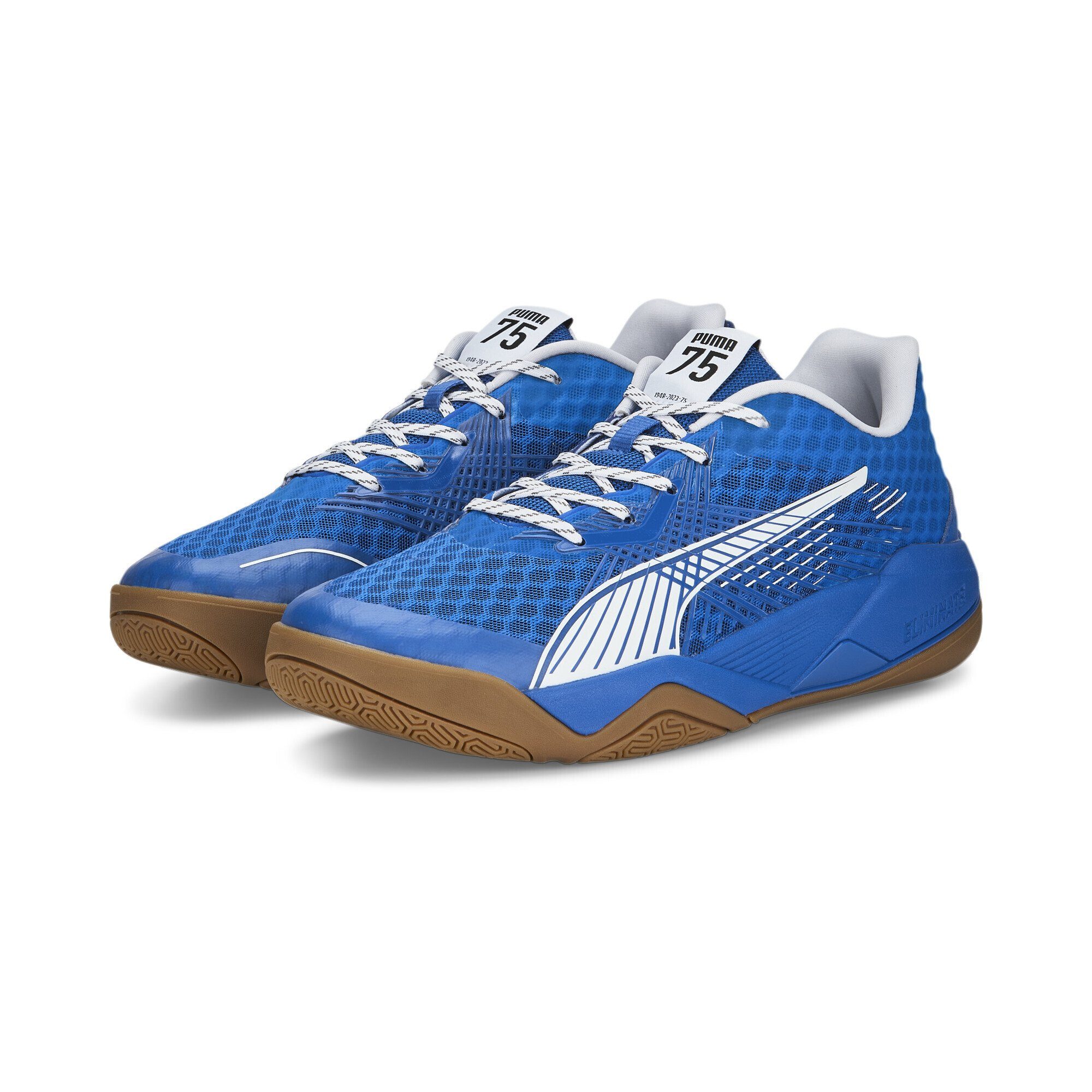 PUMA Eliminate Power NITRO II 75 Handballschuhe Herren Sneaker