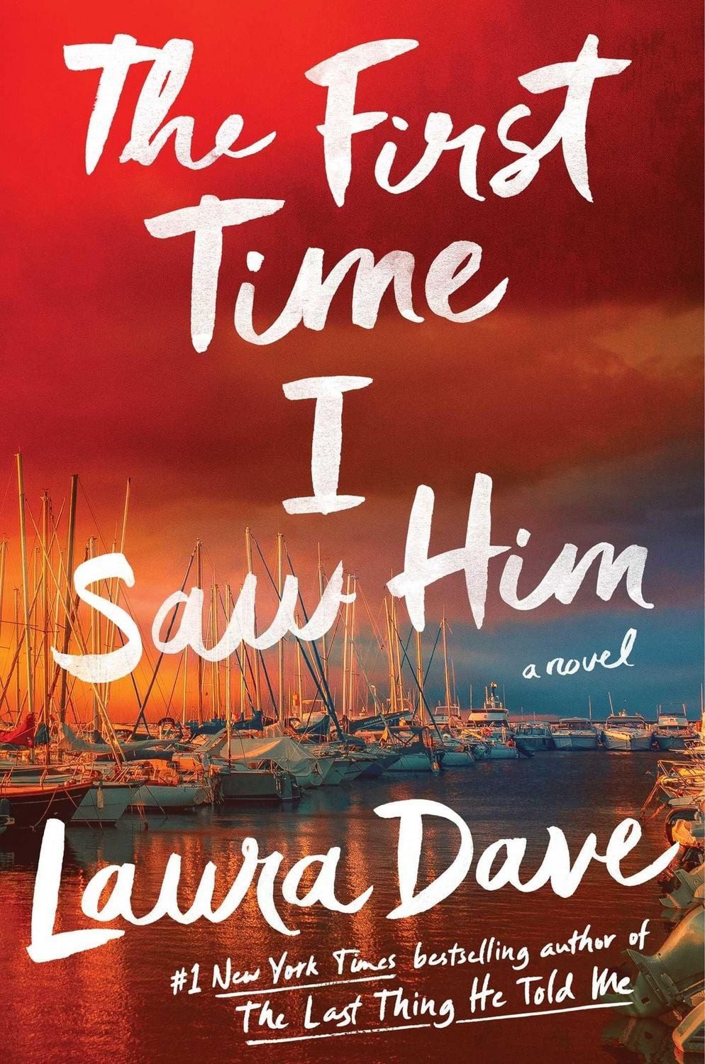 First Time I Saw Him / Laura Dave