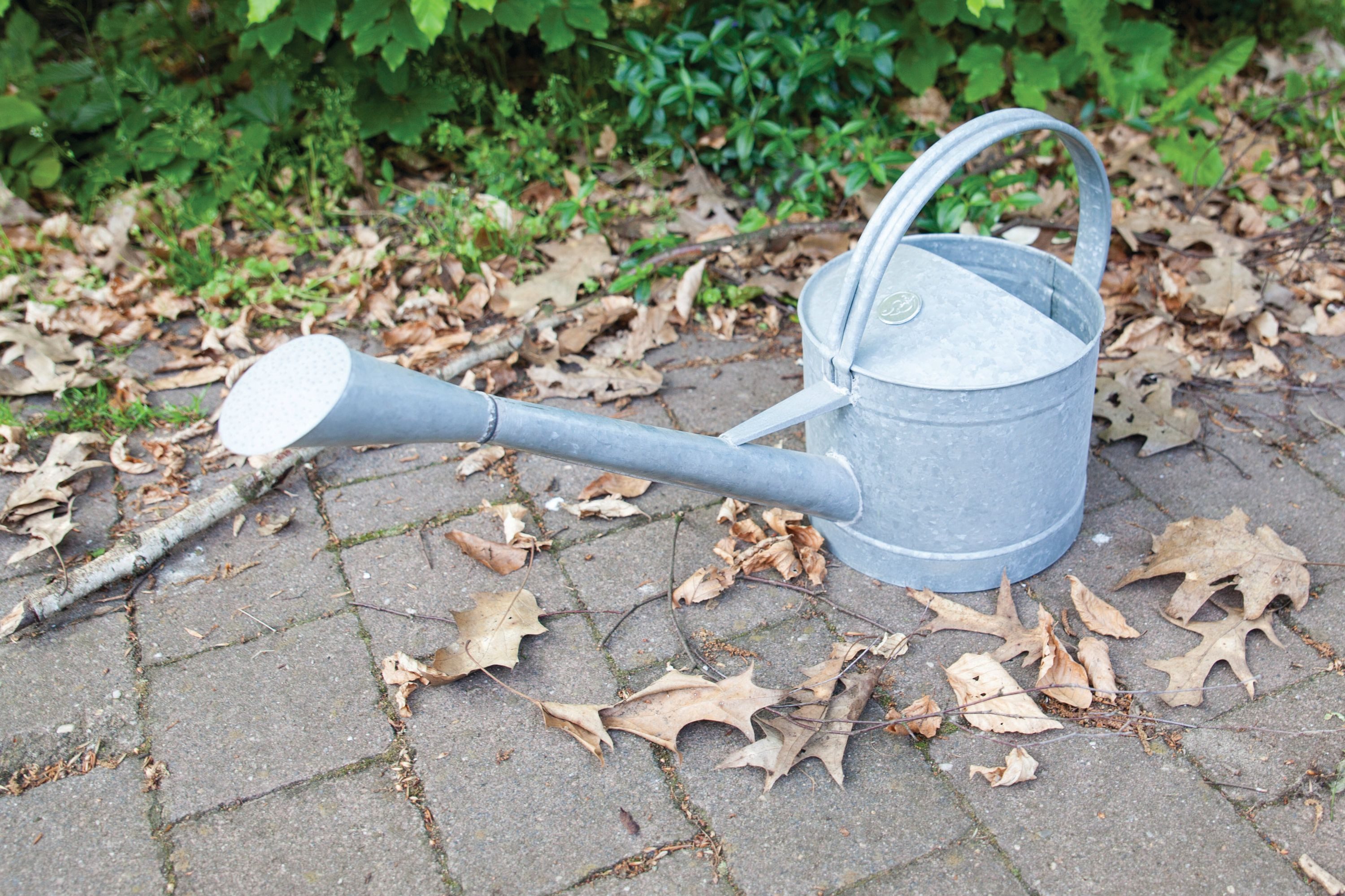 esschert design Gießkanne Gießkanne Zink 4,5 L. Landhaus, mit Brausekopf & ergonomischem Griff