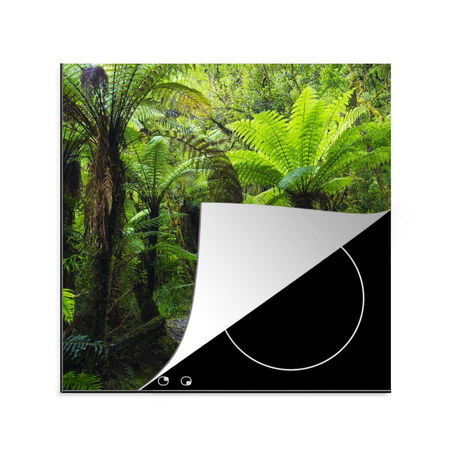 MuchoWow Herdblende-/Abdeckplatte Neuseeland - Pfad - Dschungel, Vinyl, (1 tlg), 78x78 cm, Ceranfeldabdeckung, Arbeitsplatte für küche