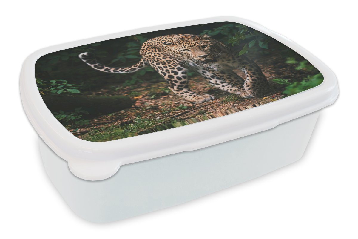 MuchoWow Lunchbox Wildtiere - Leopard - Dschungel - Natur, Kunststoff, (2-tlg), Brotbox für Kinder und Erwachsene, Brotdose, für Jungs und Mädchen weiß