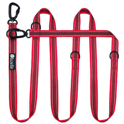 Bluzelle Führleine, Starke Nylon Leine - bis 100 kg, 2 Aluminium Karabiner, Doppel Hundeleine 3m - Große Hunde / 3-in1 Verstellbar / Reflektierend