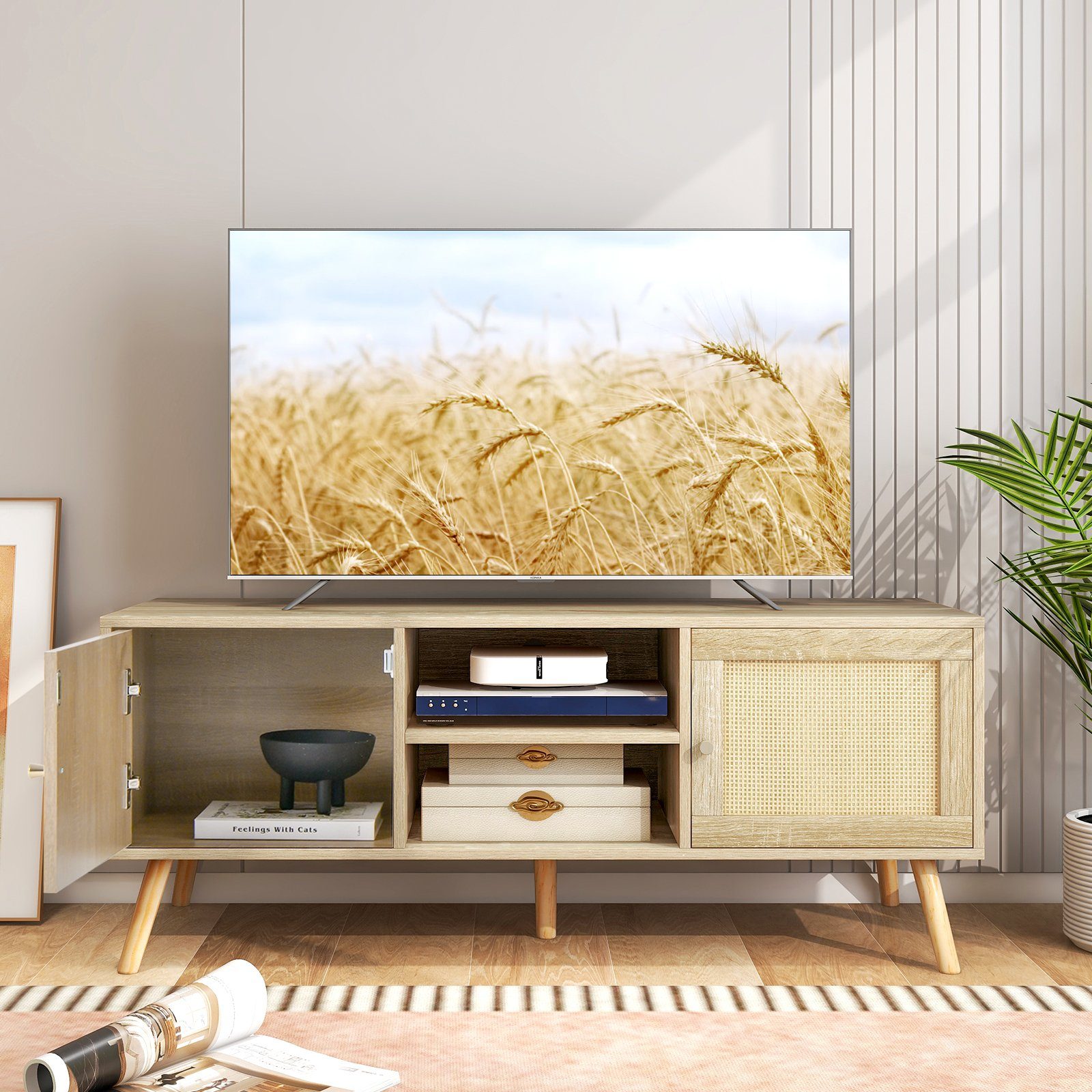 COSTWAY TV-Schrank aus Türen & Holz, Rattan 120x40x48,5cm mit Fächern, 2