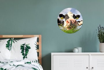 MuchoWow Wandsticker Kuh - Bauernhof - Gras - Tiere (1 St), Tapetenkreis für Kinderzimmer, Tapetenaufkleber, Rund, Wohnzimmer