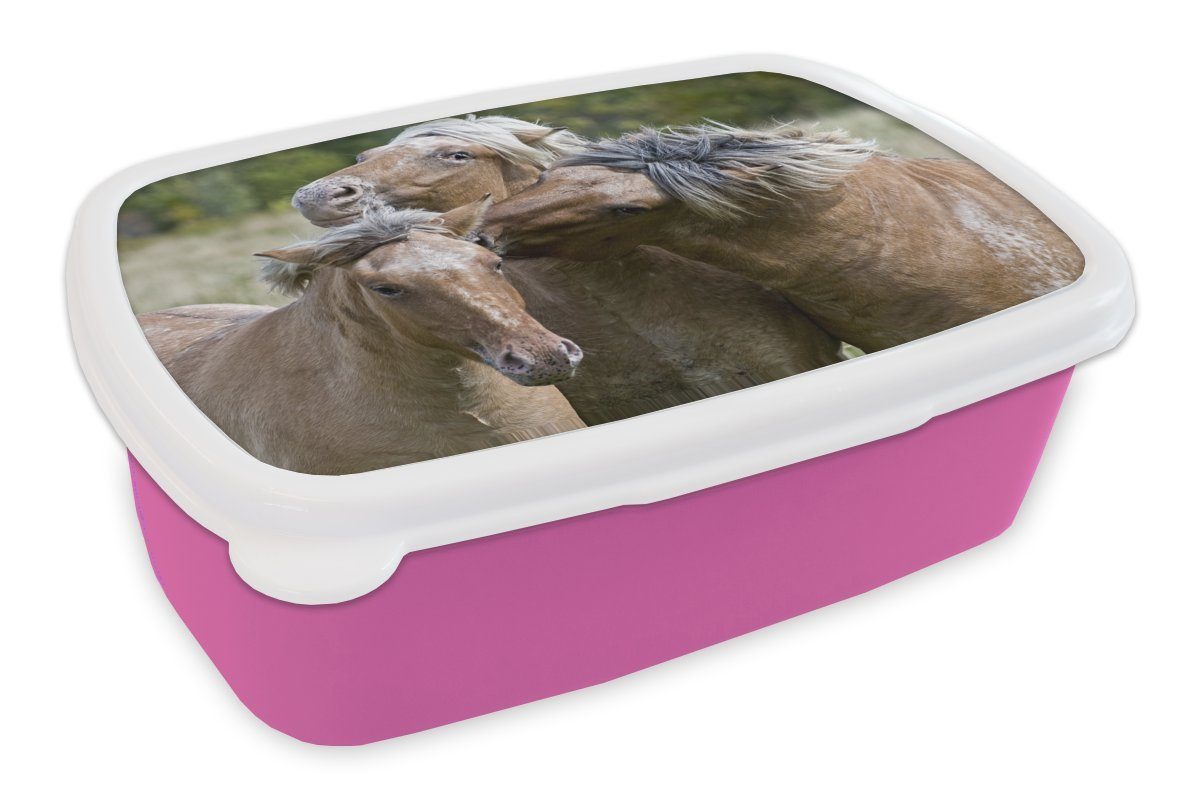 Brotbox Drei MuchoWow spielende Kunststoff, Kunststoff Snackbox, Fjordpferde, Mädchen, Erwachsene, (2-tlg), für Lunchbox Brotdose rosa Kinder,