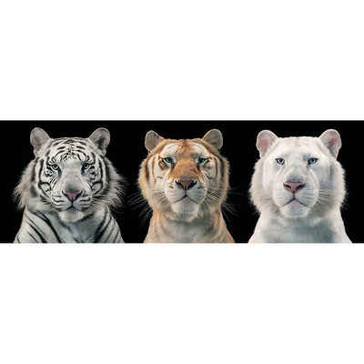 PYRAMID Poster Tiger Collage Poster Tim Flach 91,5 x 30,5 cm