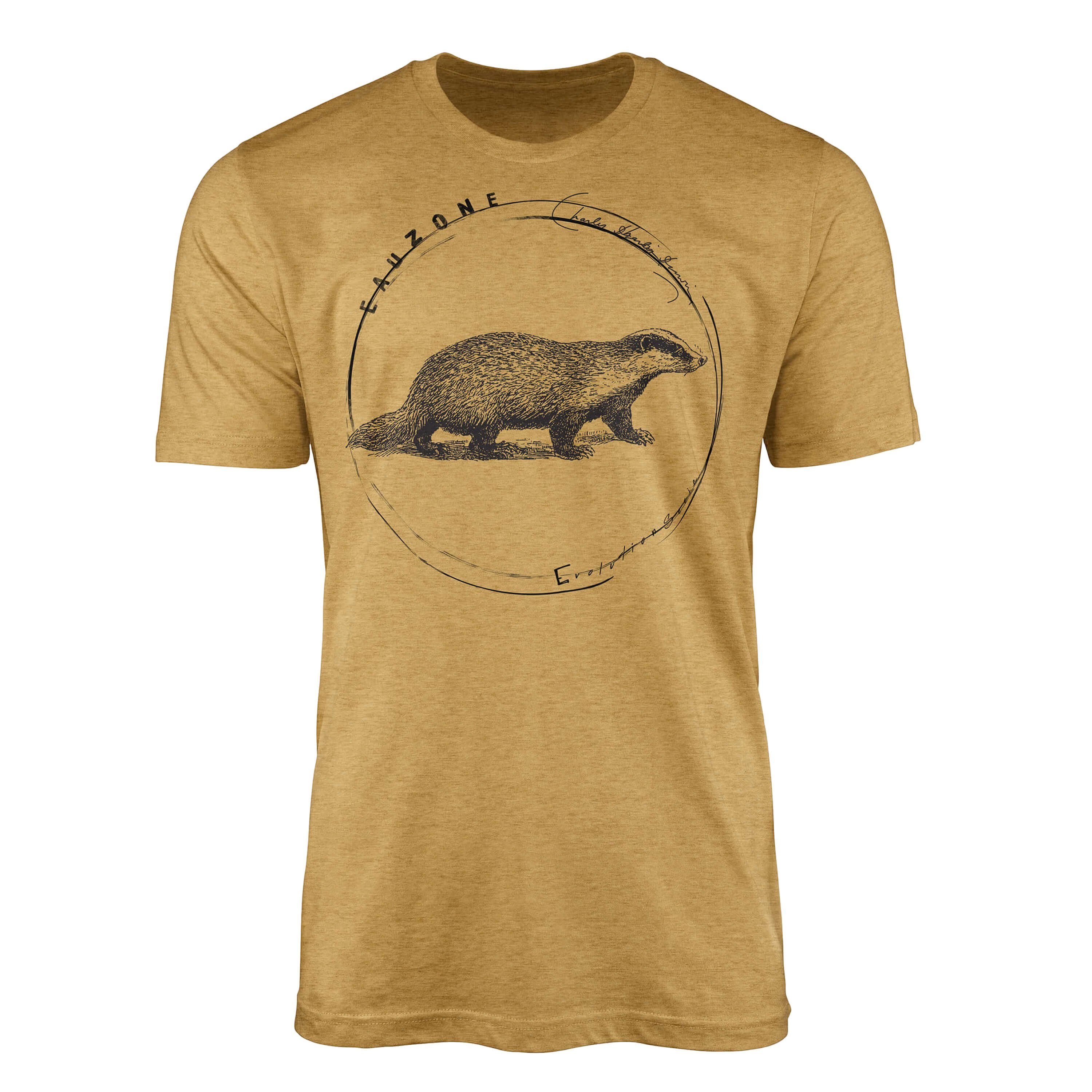 Sinus Art T-Shirt Evolution Herren T-Shirt Dachs Antique Gold
