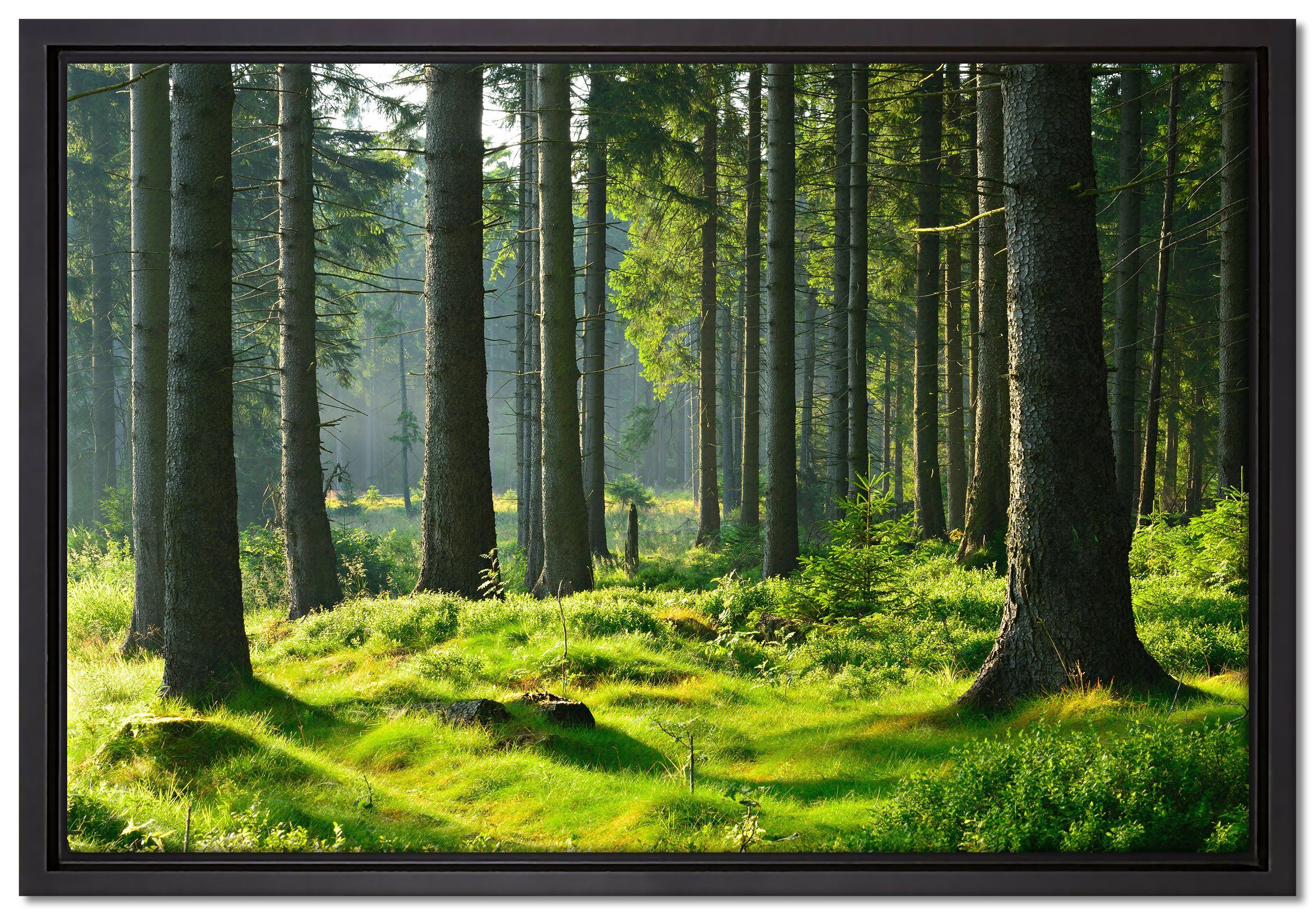 Pixxprint Leinwandbild sonniger Tag im Wald, Wanddekoration (1 St), Leinwandbild fertig bespannt, in einem Schattenfugen-Bilderrahmen gefasst, inkl. Zackenaufhänger