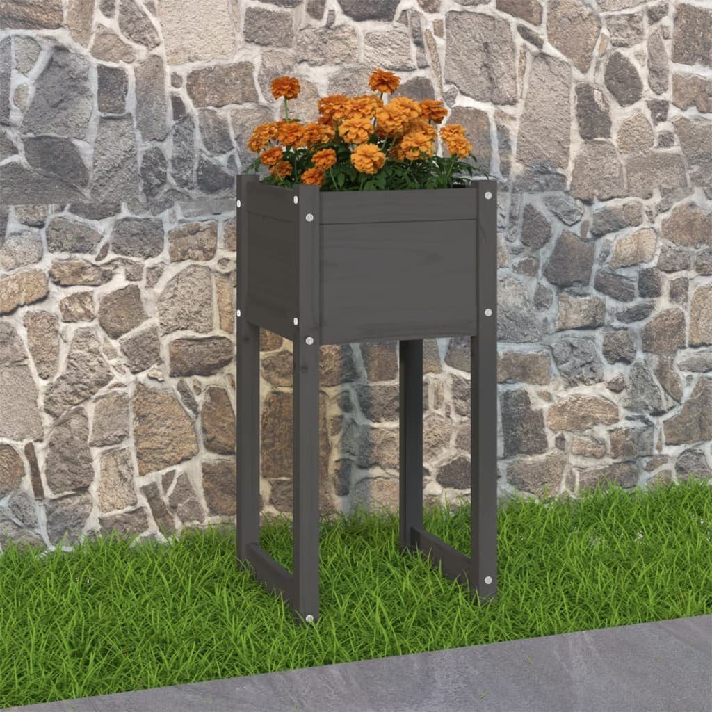vidaXL Blumentopf Pflanzkübel Grau 40x40x81 cm Massivholz Kiefer (1 St)