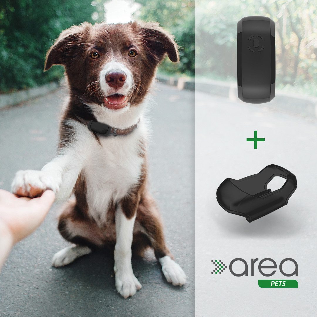 area Pets - GPS-Tracker für Tiere GPS-Hundetracker