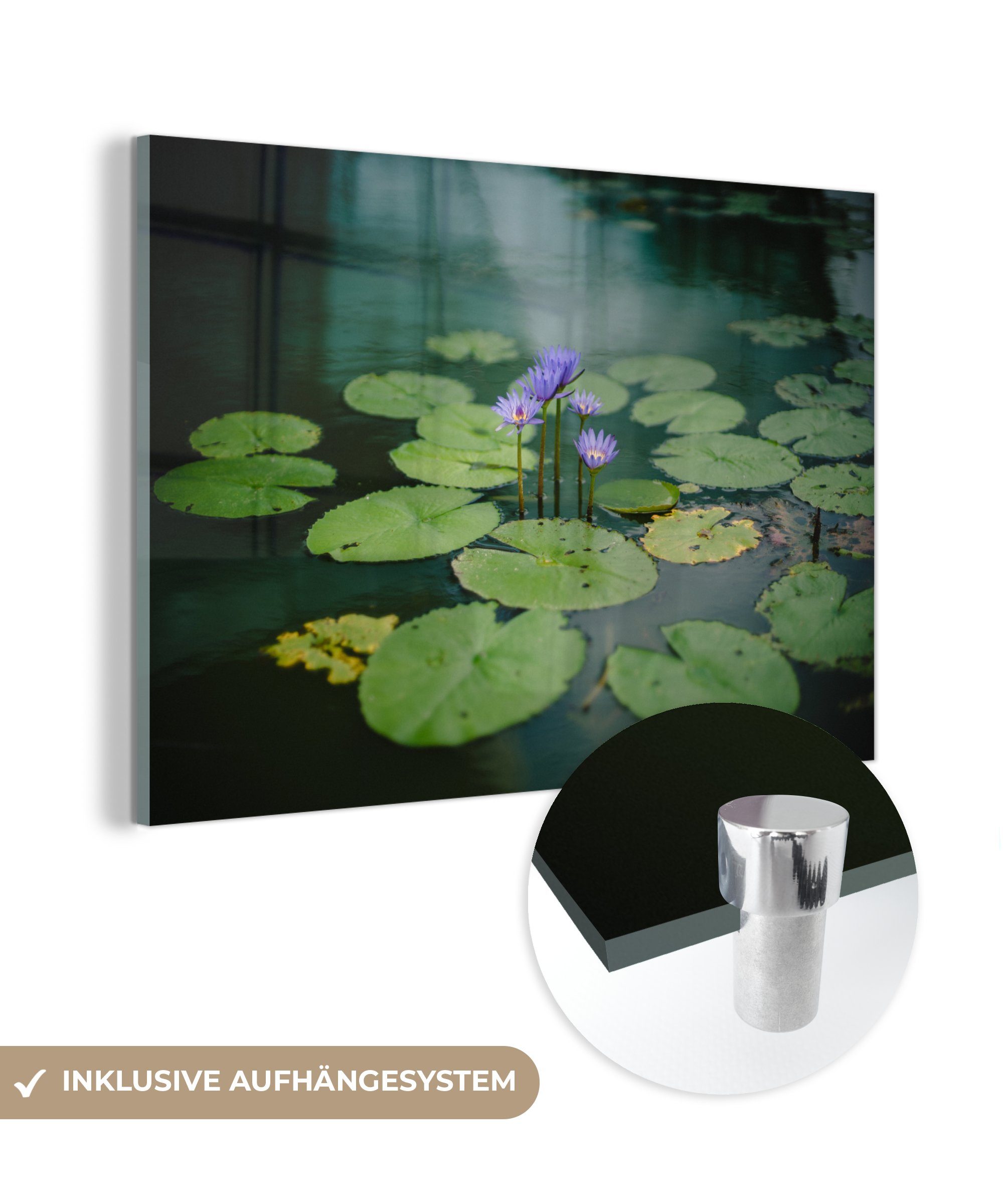 MuchoWow Acrylglasbild Blumen - Blätter - Mehr, (1 St), Acrylglasbilder Wohnzimmer & Schlafzimmer