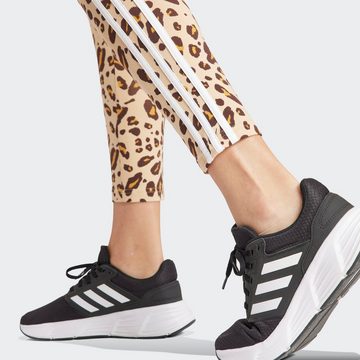 adidas Sportswear Leggings ANML 3S LEG (1-tlg)