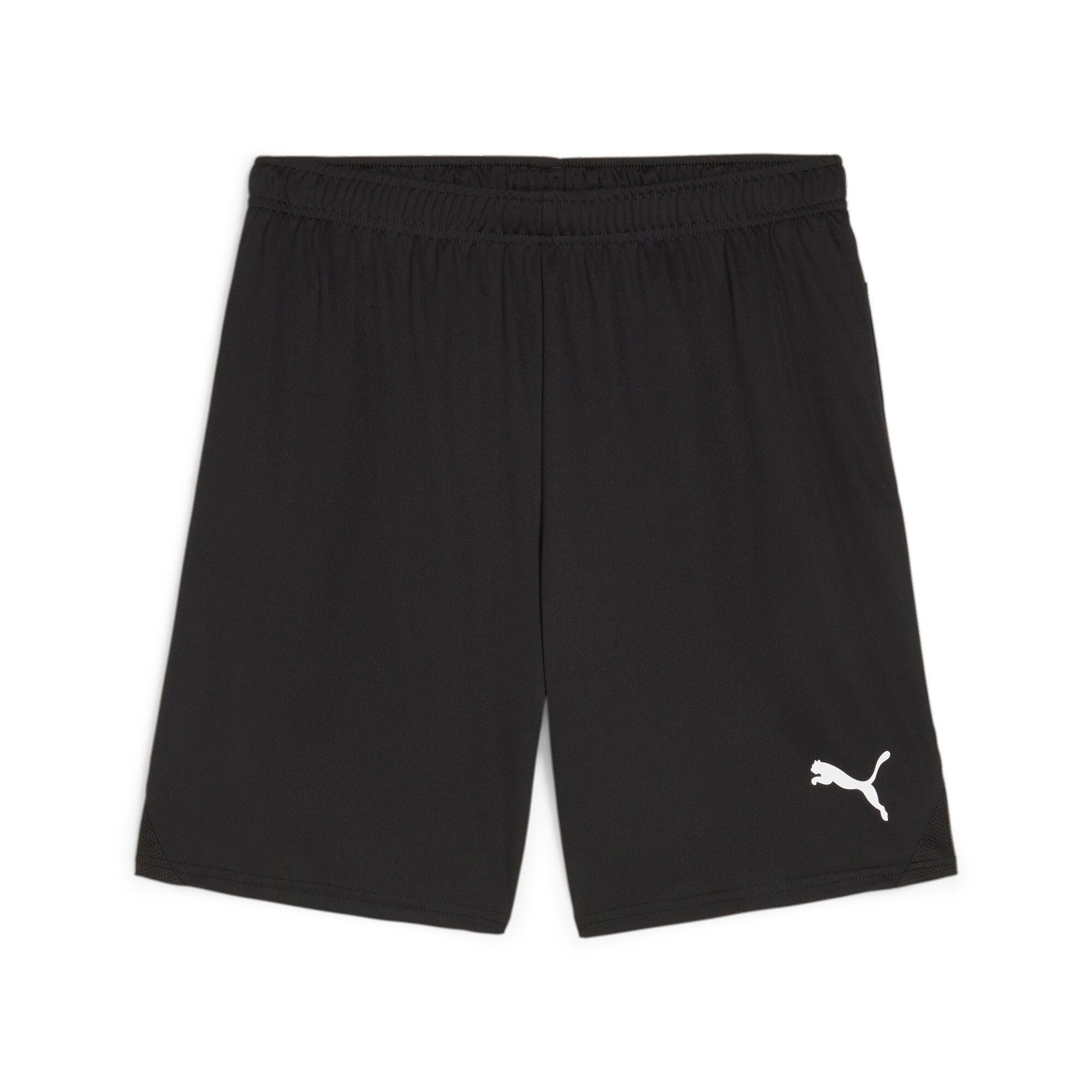 PUMA Trainingsshorts TEAMGOAL SHORTS