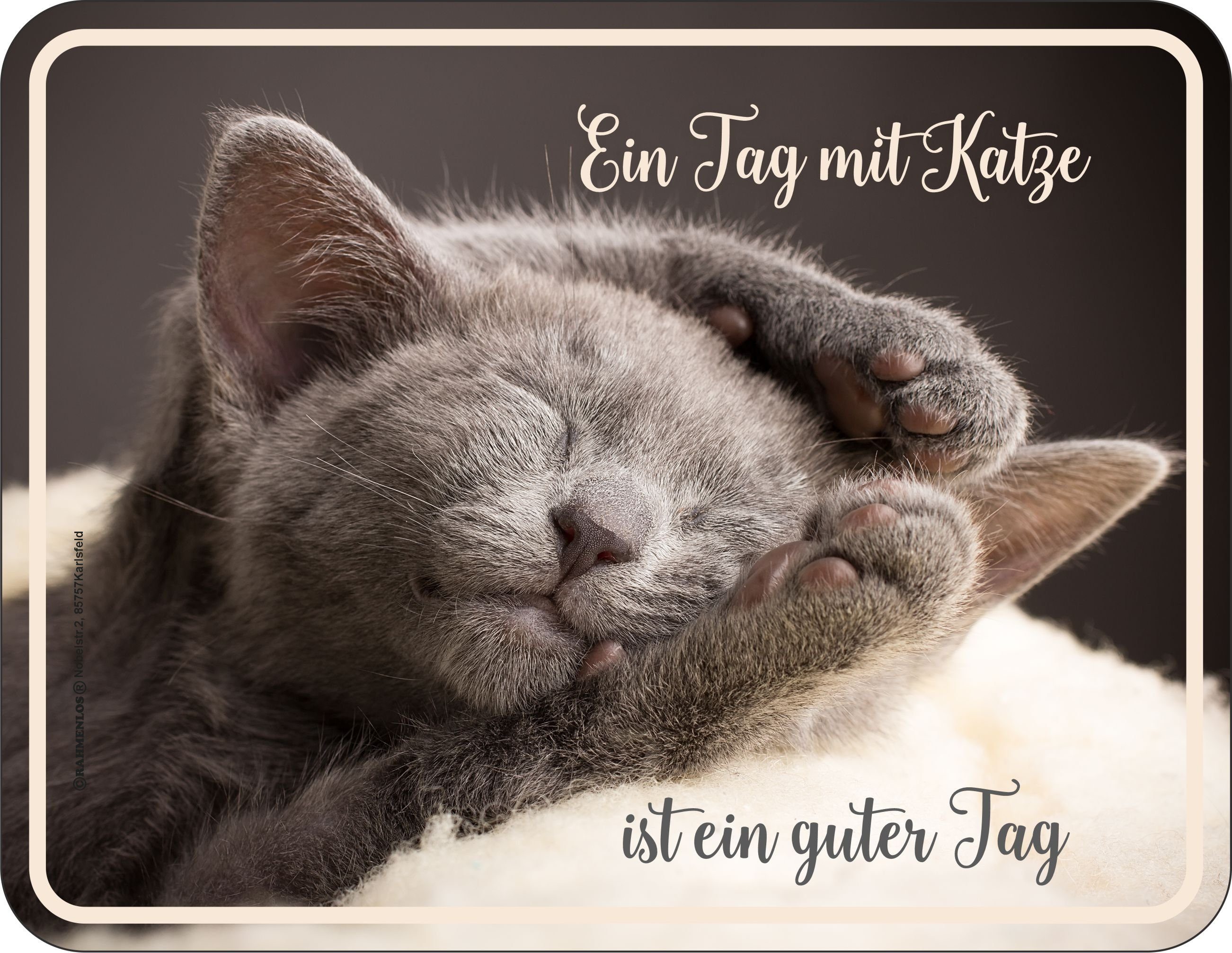 RAHMENLOS® Metallschild für den Katzenbesitzer - Ein Tag mit Katze günstig online kaufen
