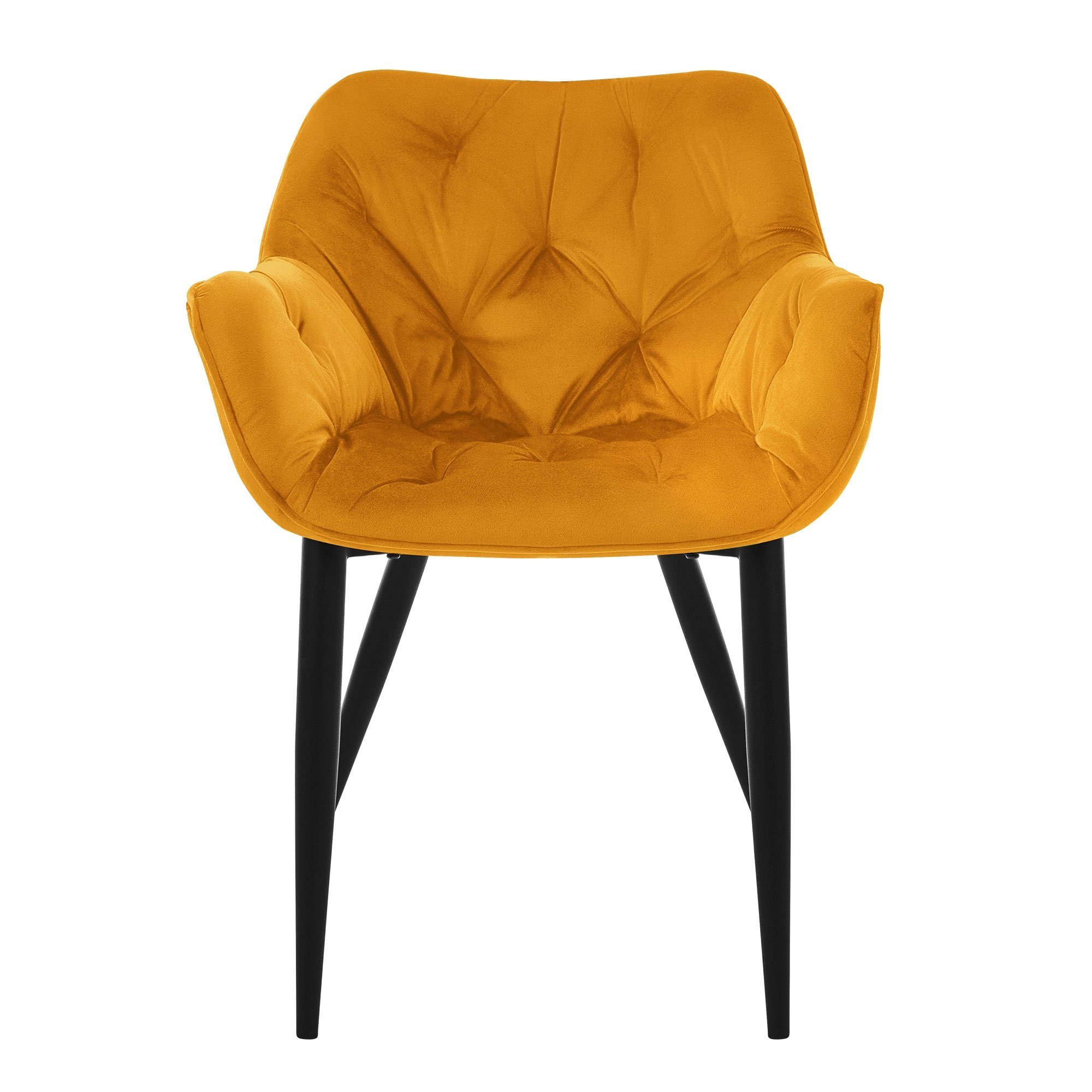 ML-DESIGN Stuhl Küchenstuhl Sessel, Senf Samtstoff Wohnzimmerstuhl Polsterstuhl Metallbeinen Set 2er Ergonomisch