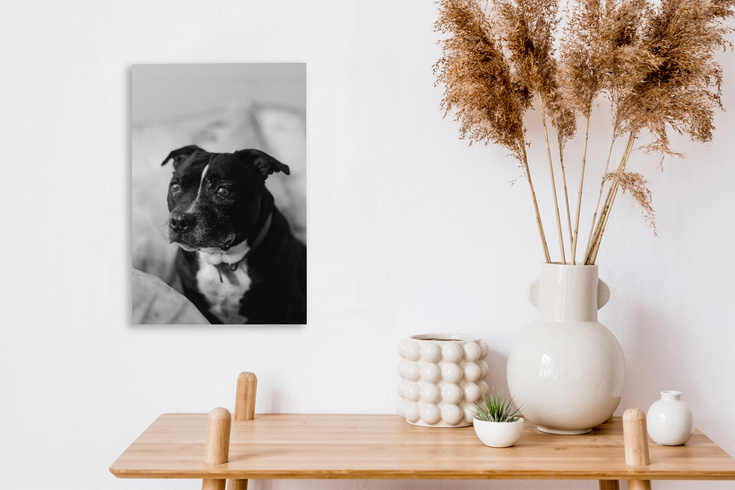 OneMillionCanvasses® Leinwandbild Schwarzer Stuhl (1 Staffordshire Hund Terrier Zackenaufhänger, inkl. Bull -, sitzend St), bespannt auf 20x30 Leinwandbild cm fertig einem Gemälde