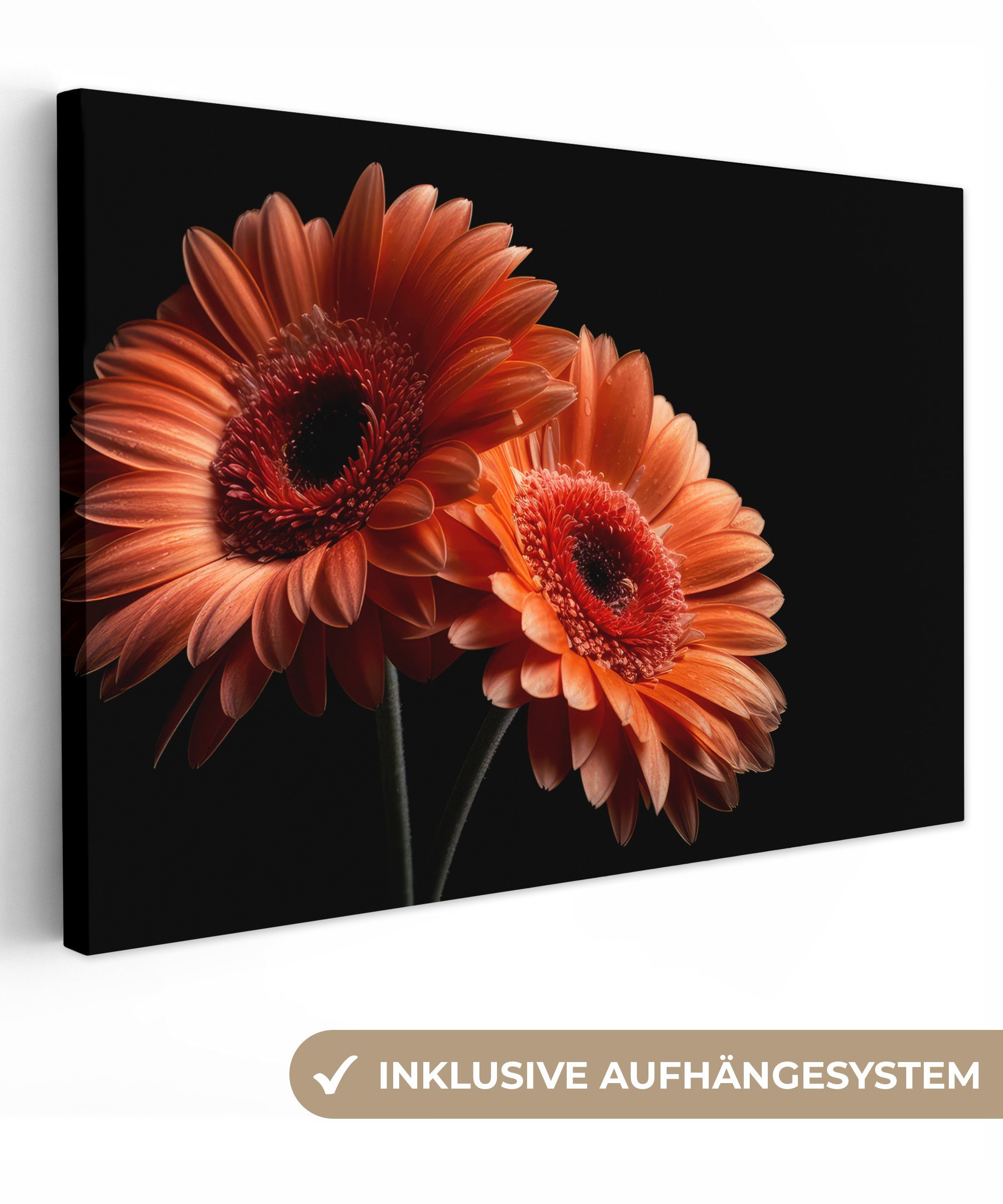 OneMillionCanvasses® (1 30x20 Schwarz, Orange Aufhängefertig, Botanisch Wanddeko, - Wandbild Leinwandbild Blumen cm St), Leinwandbilder, - - Gerbera -
