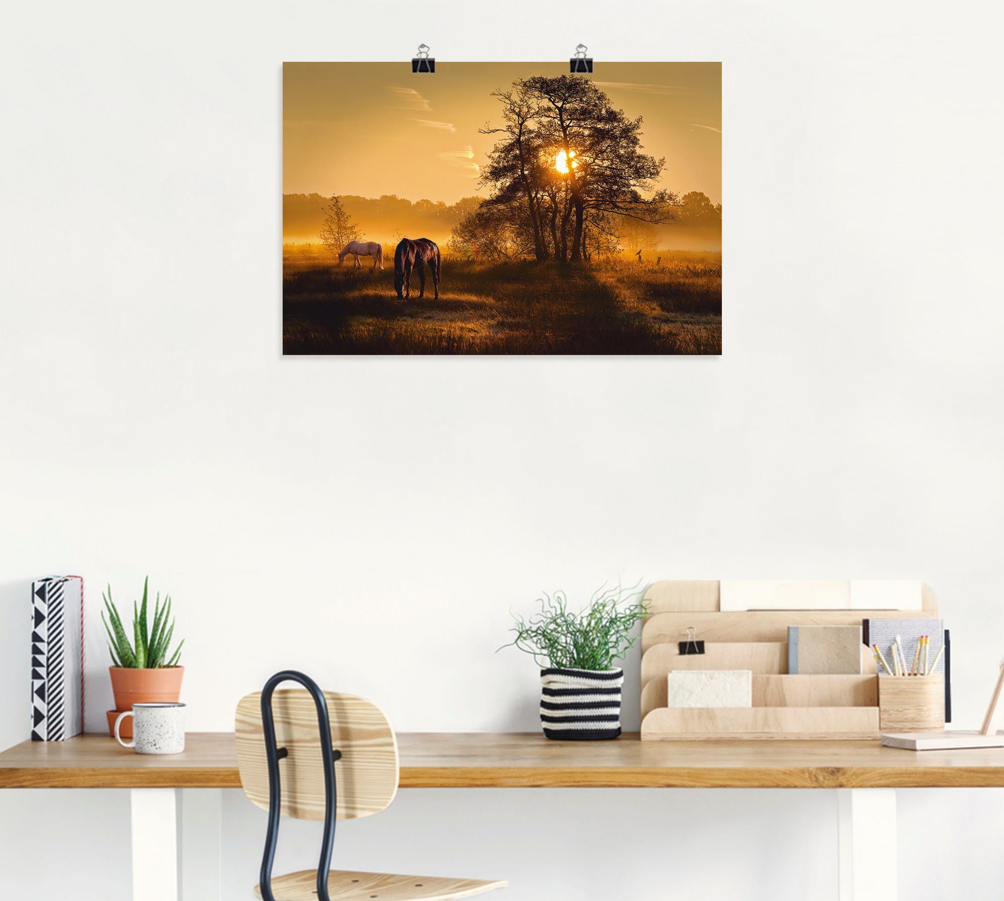 (1 Baumbilder Alubild, Wandaufkleber in Wiesen Artland oder St), Wandbild Poster Lichtdurchflutet, Leinwandbild, als Größen & versch.