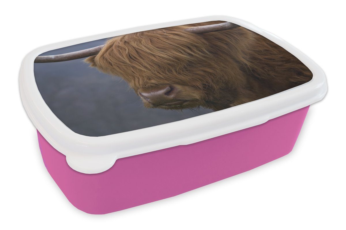 MuchoWow Lunchbox Schottischer Highlander-Bulle - Kuhkopf - Nahaufnahme, Kunststoff, (2-tlg), Brotbox für Erwachsene, Brotdose Kinder, Snackbox, Mädchen, Kunststoff rosa
