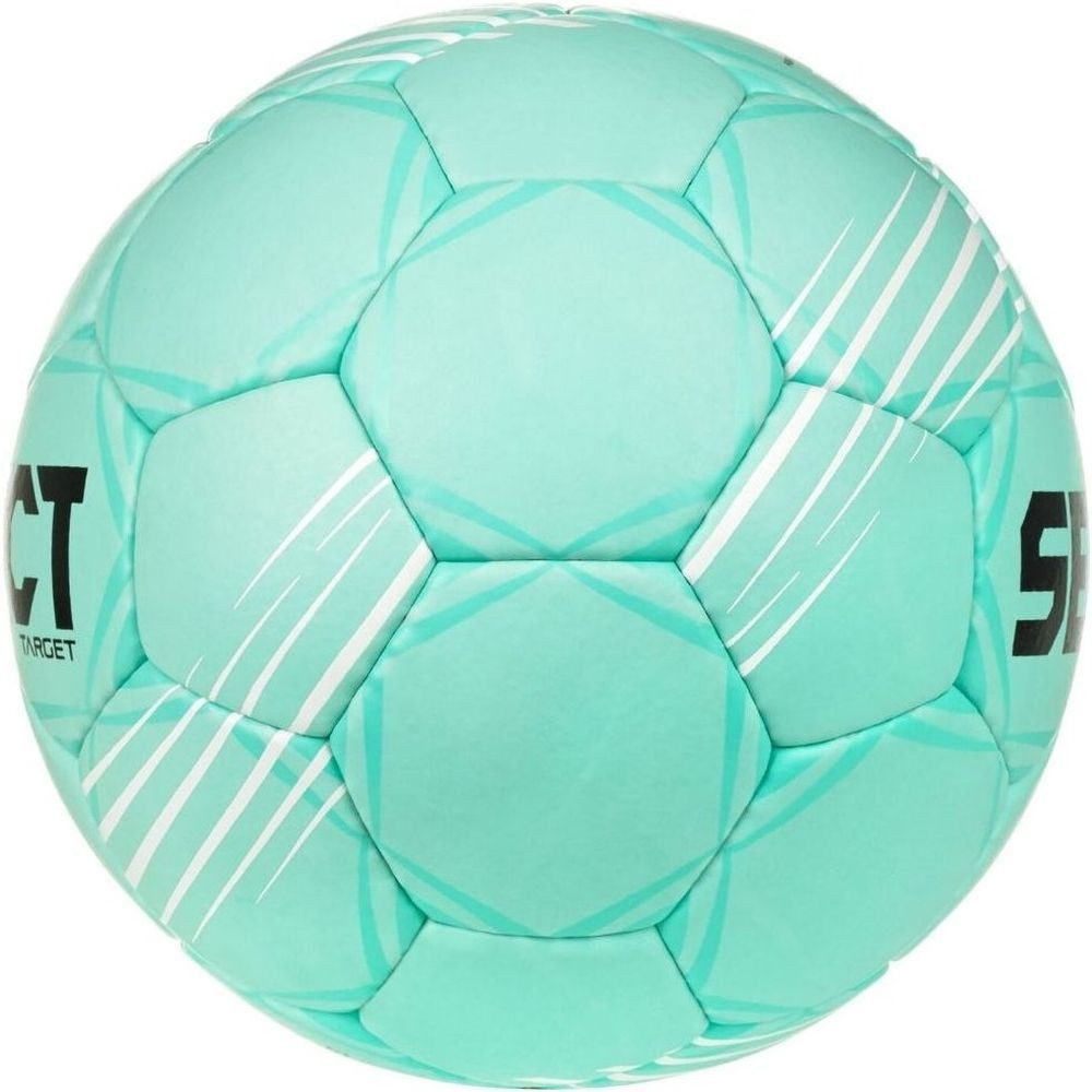 Select Handball Target V26