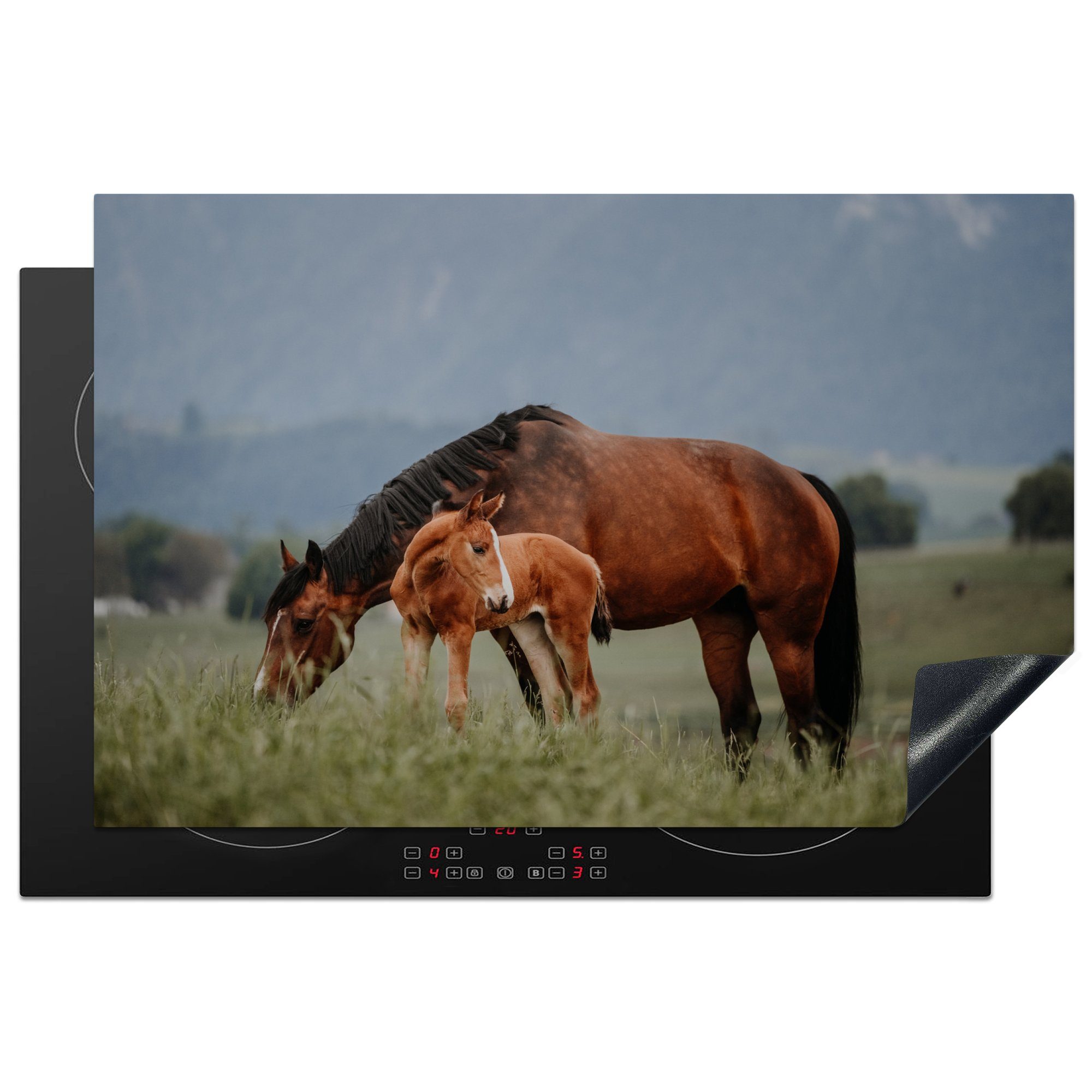 MuchoWow Herdblende-/Abdeckplatte Pferde - Fohlen - Natur, Vinyl, (1 tlg), 81x52 cm, Induktionskochfeld Schutz für die küche, Ceranfeldabdeckung