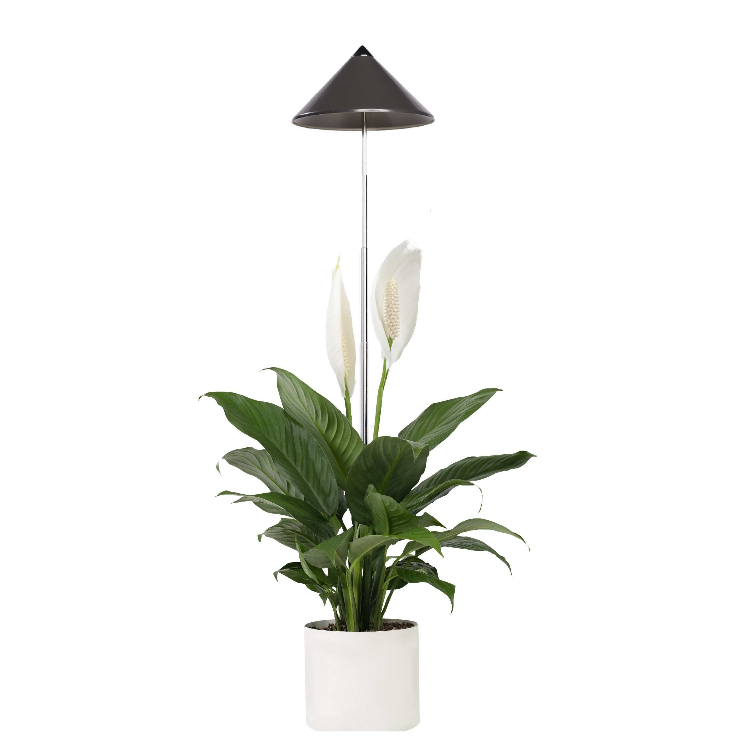PARUS Pflanzenlampe Indoor plants, Leuchtmittel für Pflanzen, Teleskopstab 1m, Parus by Venso SUNLiTE 7W LED Vollspektrum Pflanzenlampe Grau, Indoor
