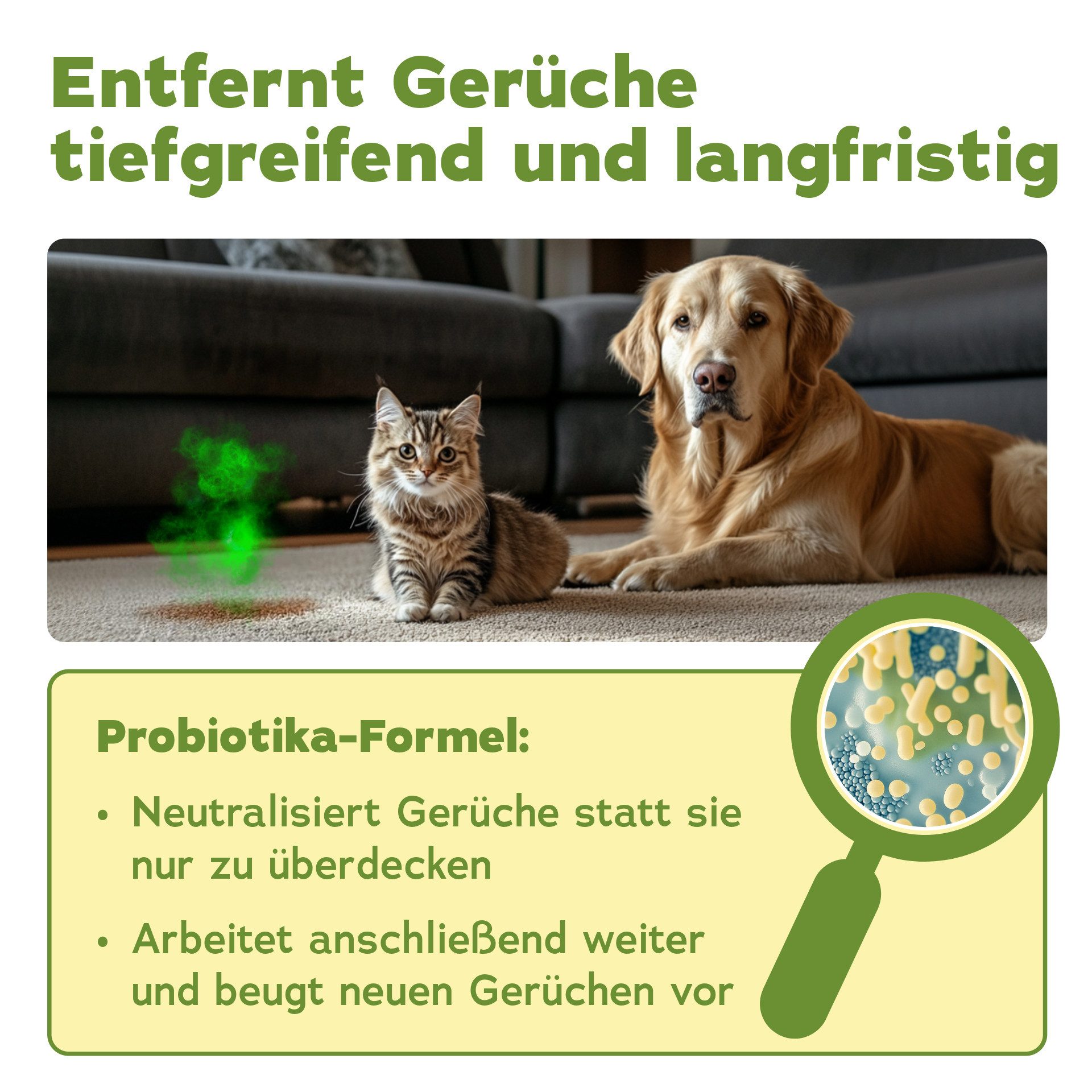bio-chem Geruchsentferner Enzymreiniger 1 L Geruchsentferner gegen Urin, Katzen & Hundeurin (Einzelprodukt, Enzymreiniger Konzentrat 1 L), Probiotisch & tiefenwirksam gegen Tiergeruch