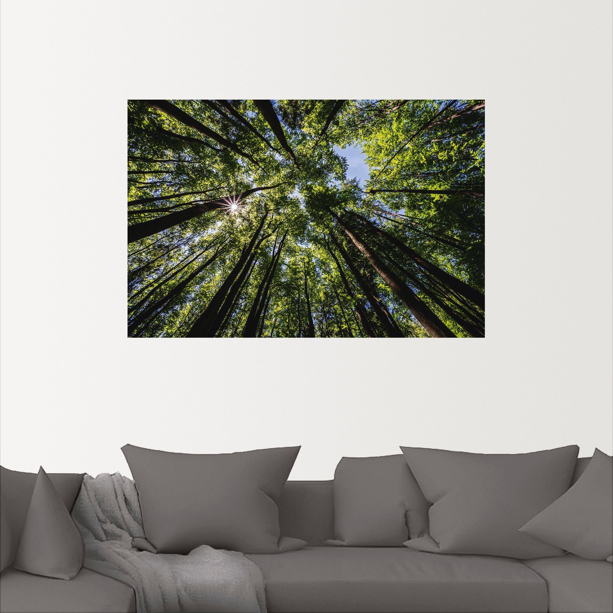 Artland Wandbild Bäume von unten als Sommer, Poster in im Baumbilder Leinwandbild, Wandaufkleber oder St), (1 versch. Größen Alubild
