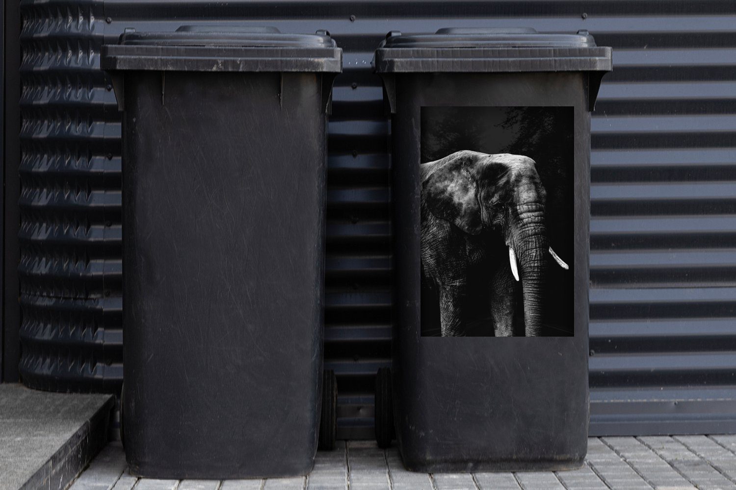 Container, Sticker, Mülltonne, MuchoWow schwarz (1 St), und schwarzem - auf Mülleimer-aufkleber, Elefant Hintergrund weiß Wandsticker Abfalbehälter