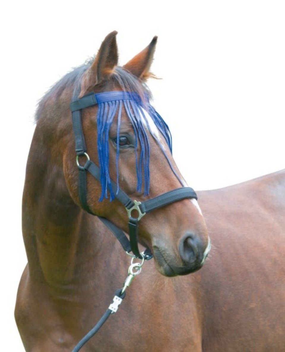 321893 Pony (1 blau Größe Kerbl Fliegen-Fransenband Fliegenmasken St)