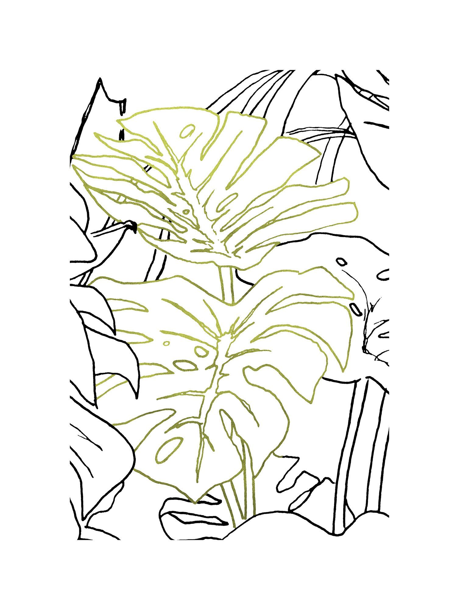 Komar Bild Monstera Borsigiana, Natur (1 St), Wandbild zur Dekoration - ohne Rahmen