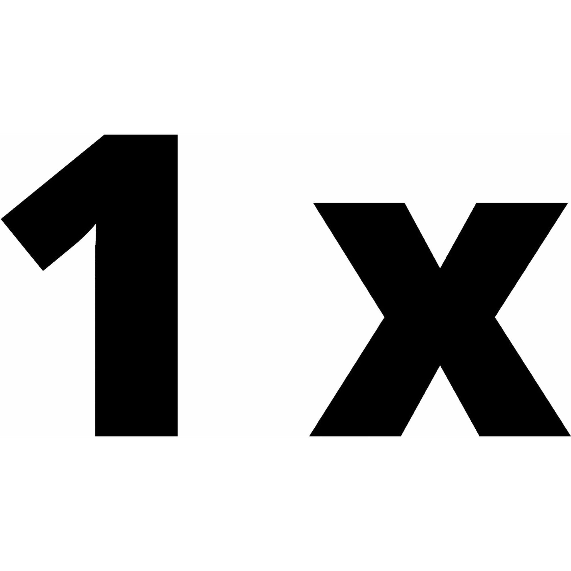 Einhell Saugfilter EINHELL Faltenfilter für Staubklasse L, Filter