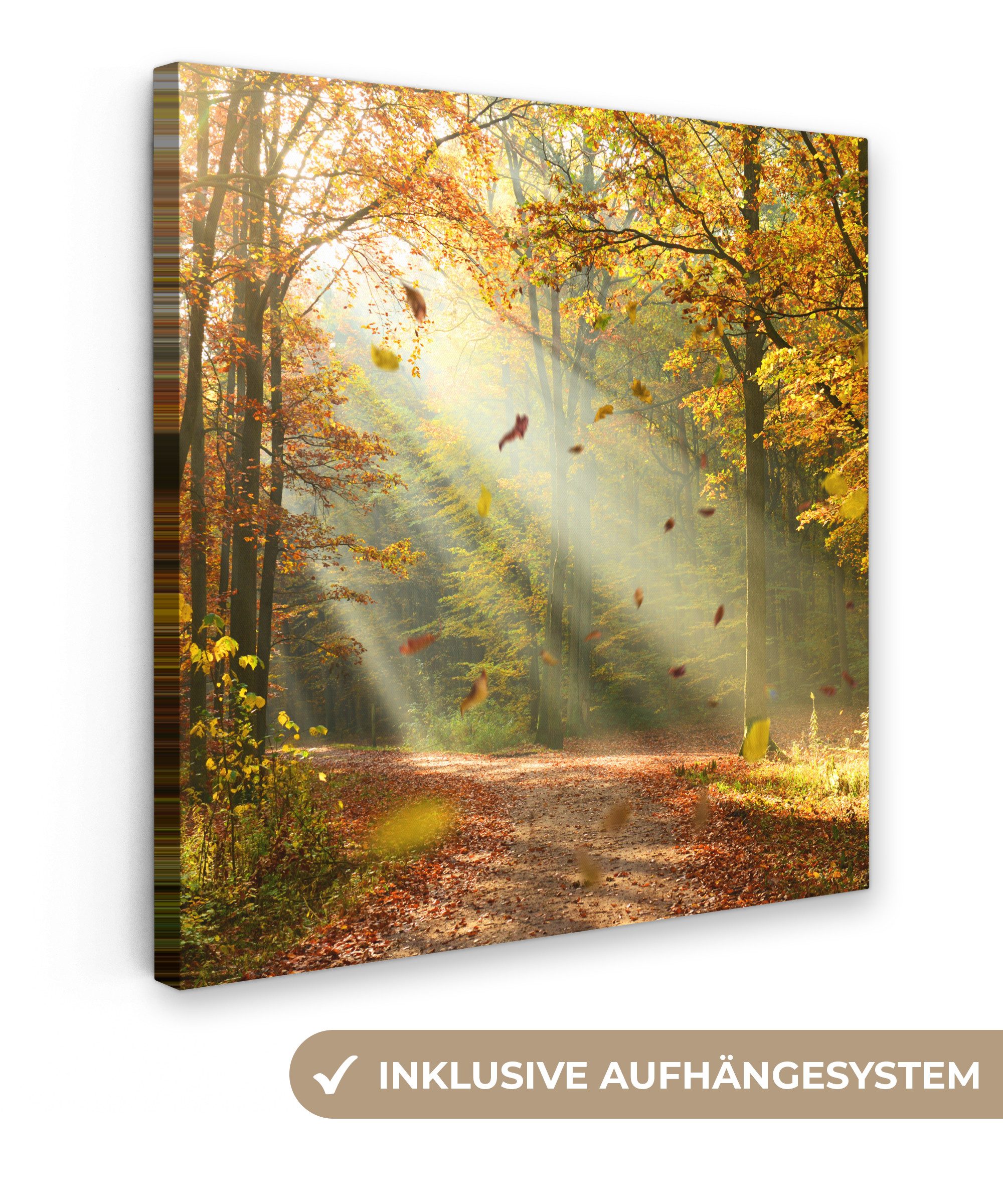 OneMillionCanvasses® Leinwandbild Wald - Bäume - Herbst - Sonne - Herbstblätter - Natur - Fensterblick, Fotodruck (1 St), Wandbild, Deko Schlafzimmer Wohnzimmer Flur 20x20 cm