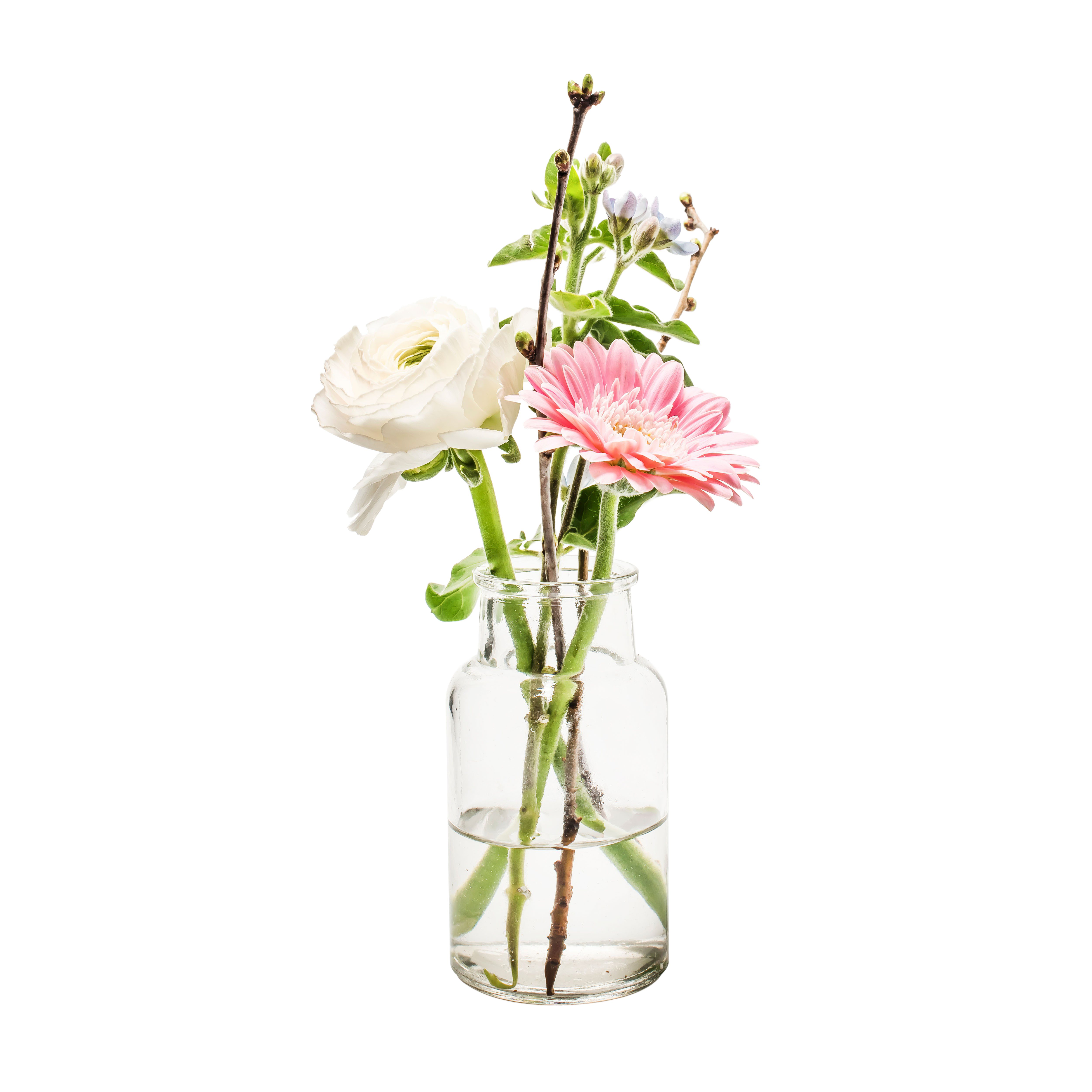 Annastore Dekovase Glasflasche EMMA Apothekerflaschen Glasvase Blumenvase (6 St)