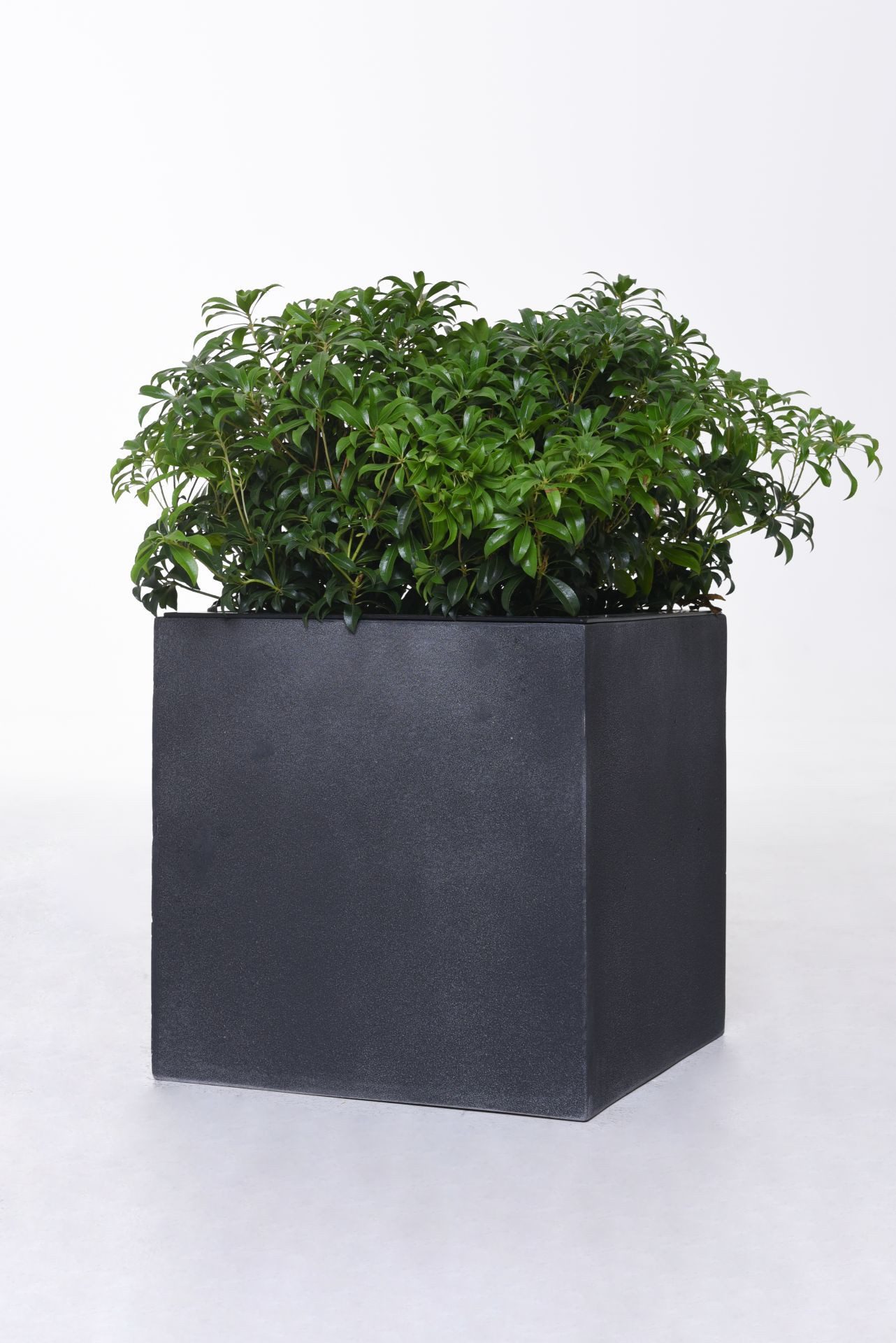 VIVANNO Pflanzkübel Fiberglas BLOCK Würfel - günstig online kaufen