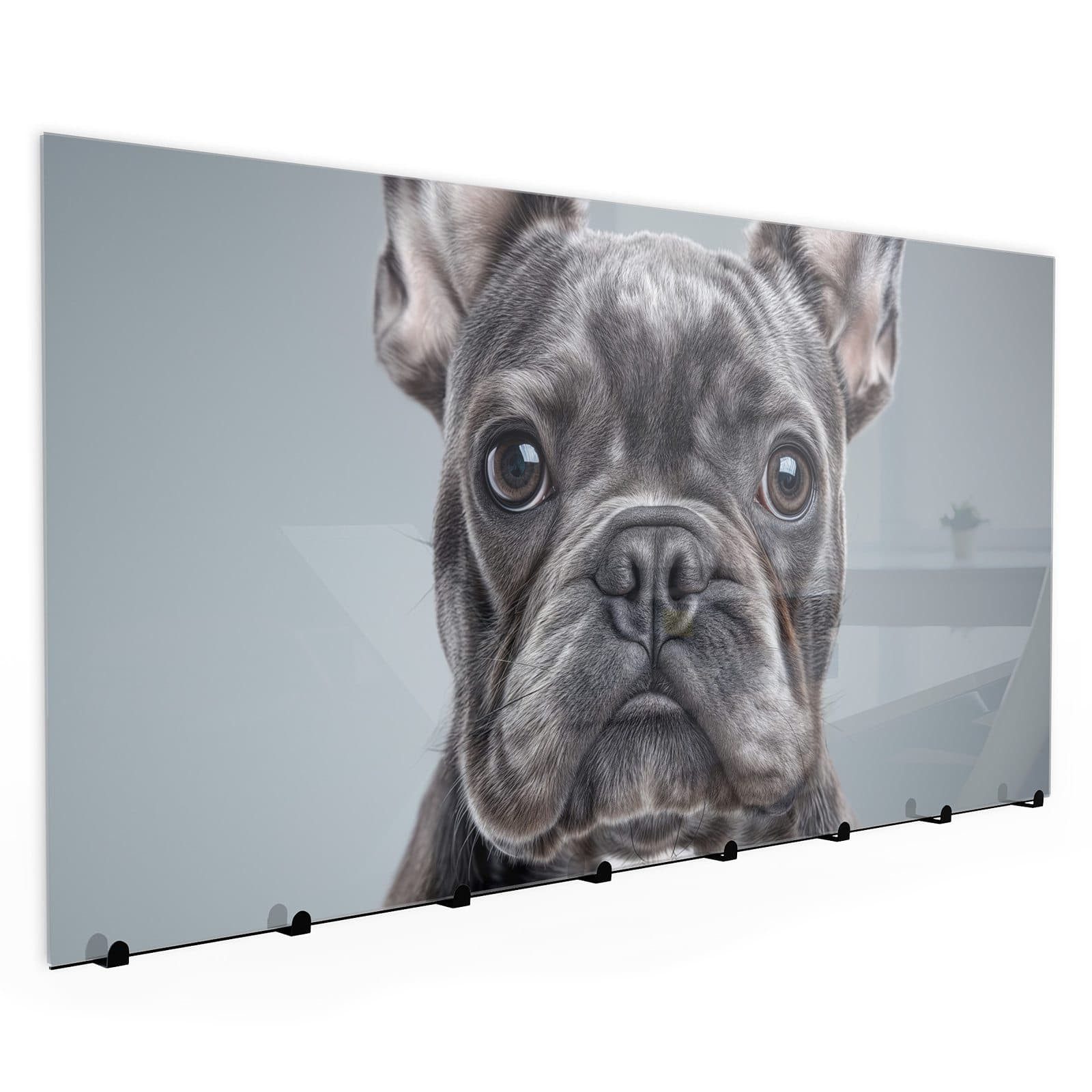 Primedeco Garderobenpaneel Kleiderhaken aus Glas Französische Bulldogge (1 St., Inkl. Magnete, Stifte und Montagematerial), Magnetisch & Beschreibbar