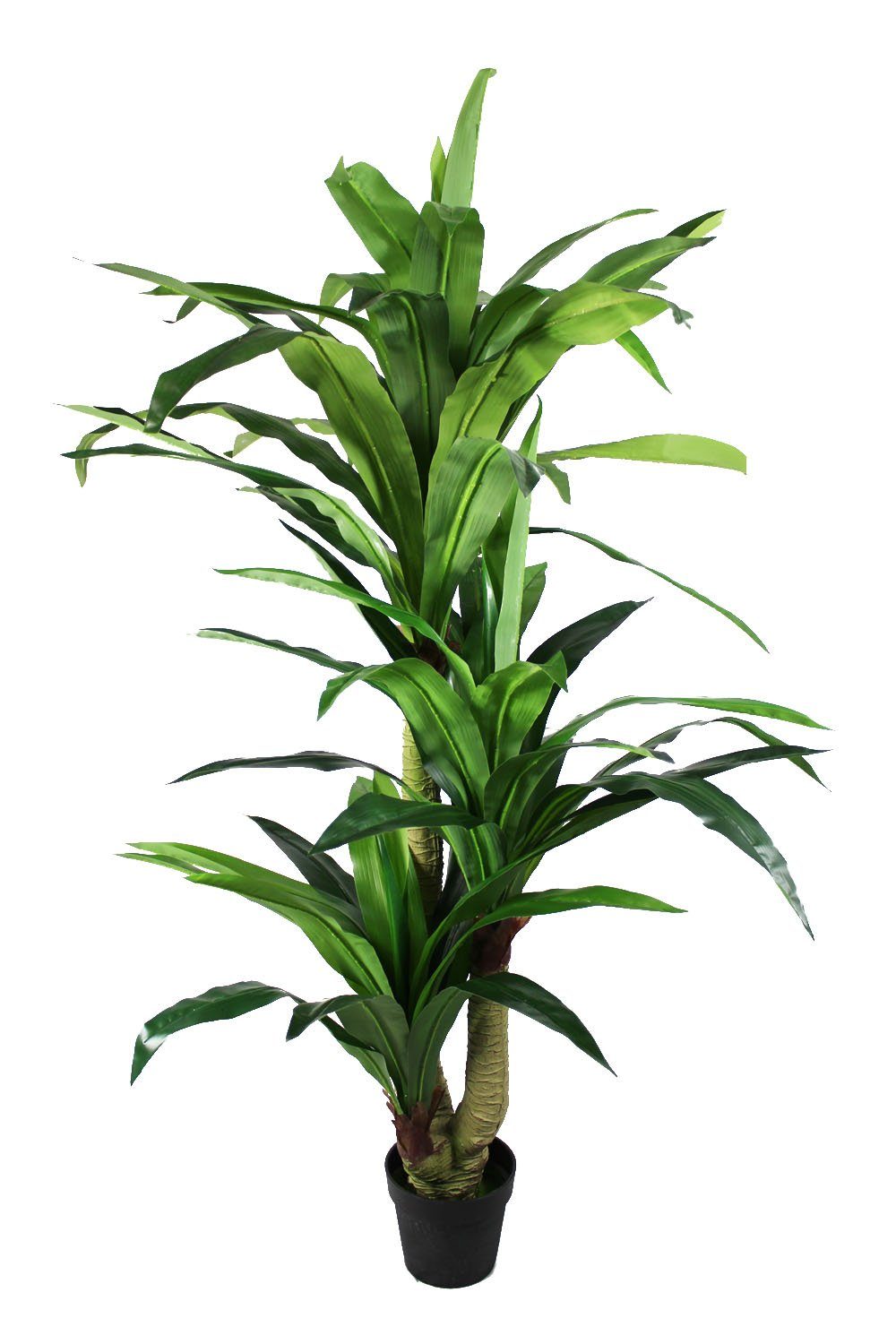Kunstpflanze künstliche Zimmerpflanze mit 3 Stämmen Dracaena Drachenbaum, Arnusa, Höhe 170 cm, Großer Kunstbaum fertig im Topf. € 119,99