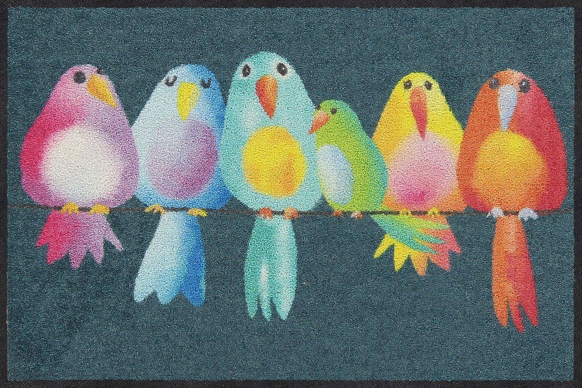 Fußmatte Salonloewe RAINBOW BIRDS Fußmatte Wohnmatte 50 x 75 cm, Salonloewe, Rechteckig, Höhe: 7 mm, In- und Outdoor, waschbar bei 40° Grad in der Waschmaschine und trocknergeeignet