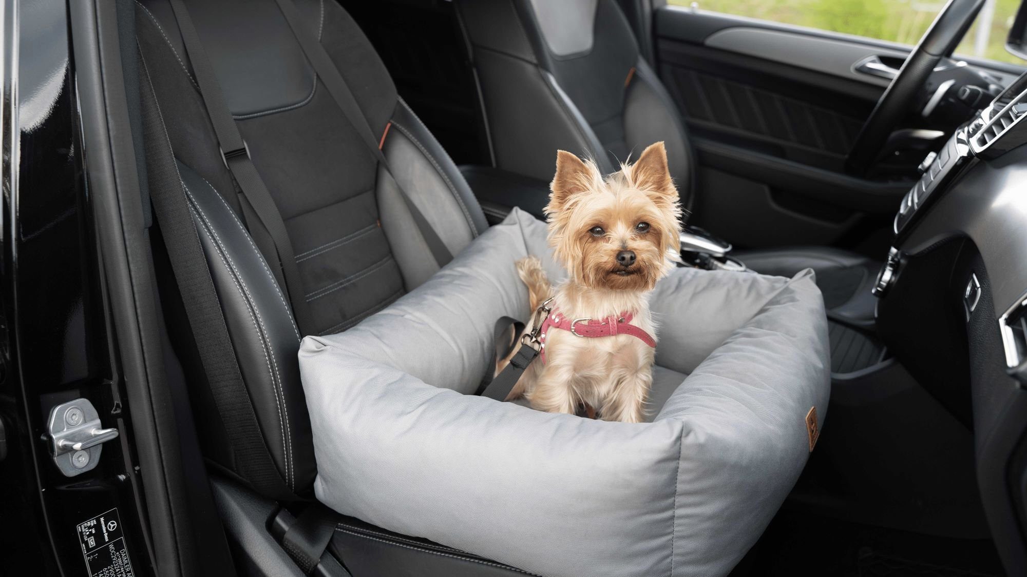 Animood Hunde-Autositz Hundeautositz Julian grau S Hundesitz Tierautositz 58x53x20 cm, Kodura, wasserfestes Material
