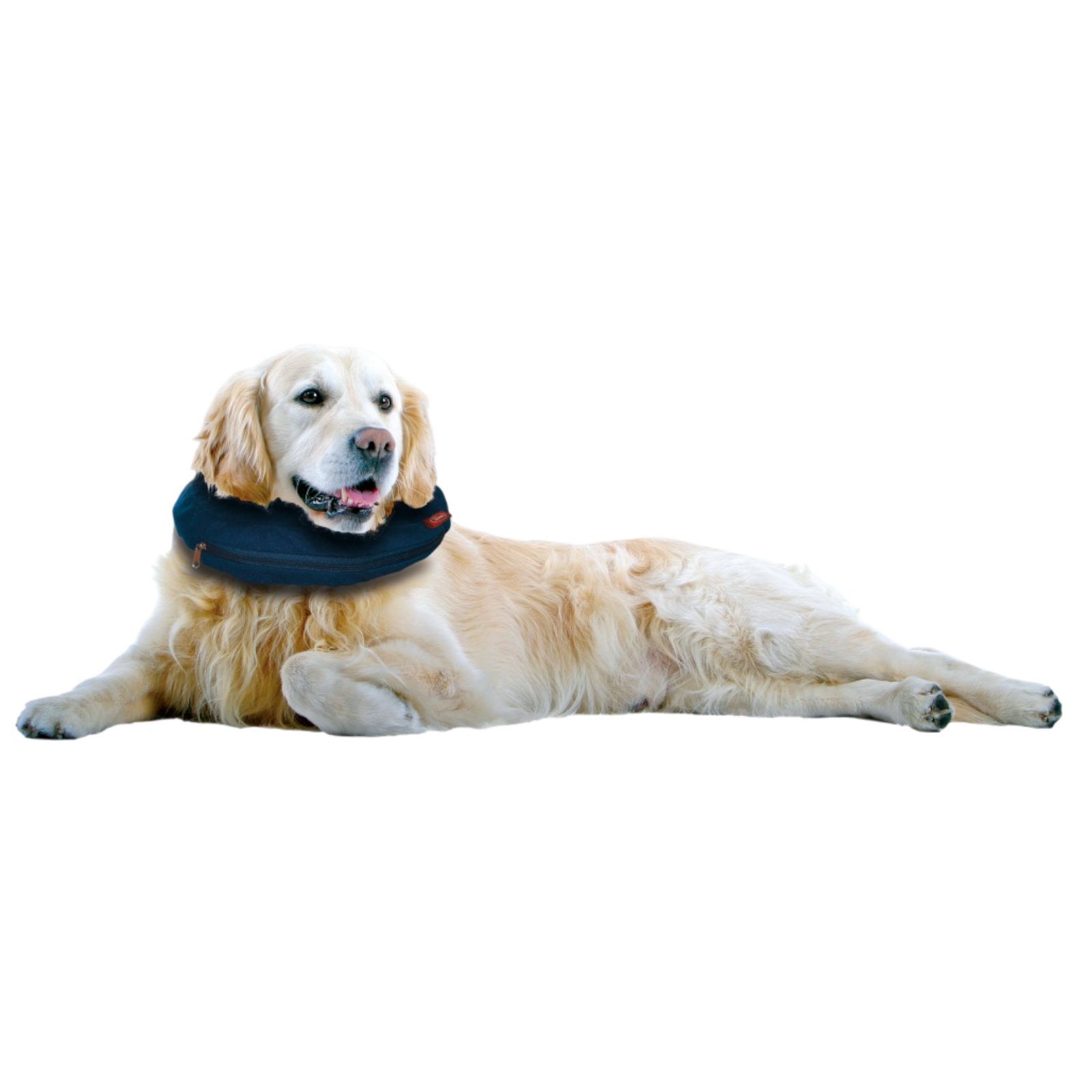 AQUA NOVA Schutzkragen Aufblasbarer Schutzkragen Halskrause für Hunde Katzen Leck Wundschutz, Aufblasbar, Komfortkragen, Leck- & Wundschutz, Verstellbar