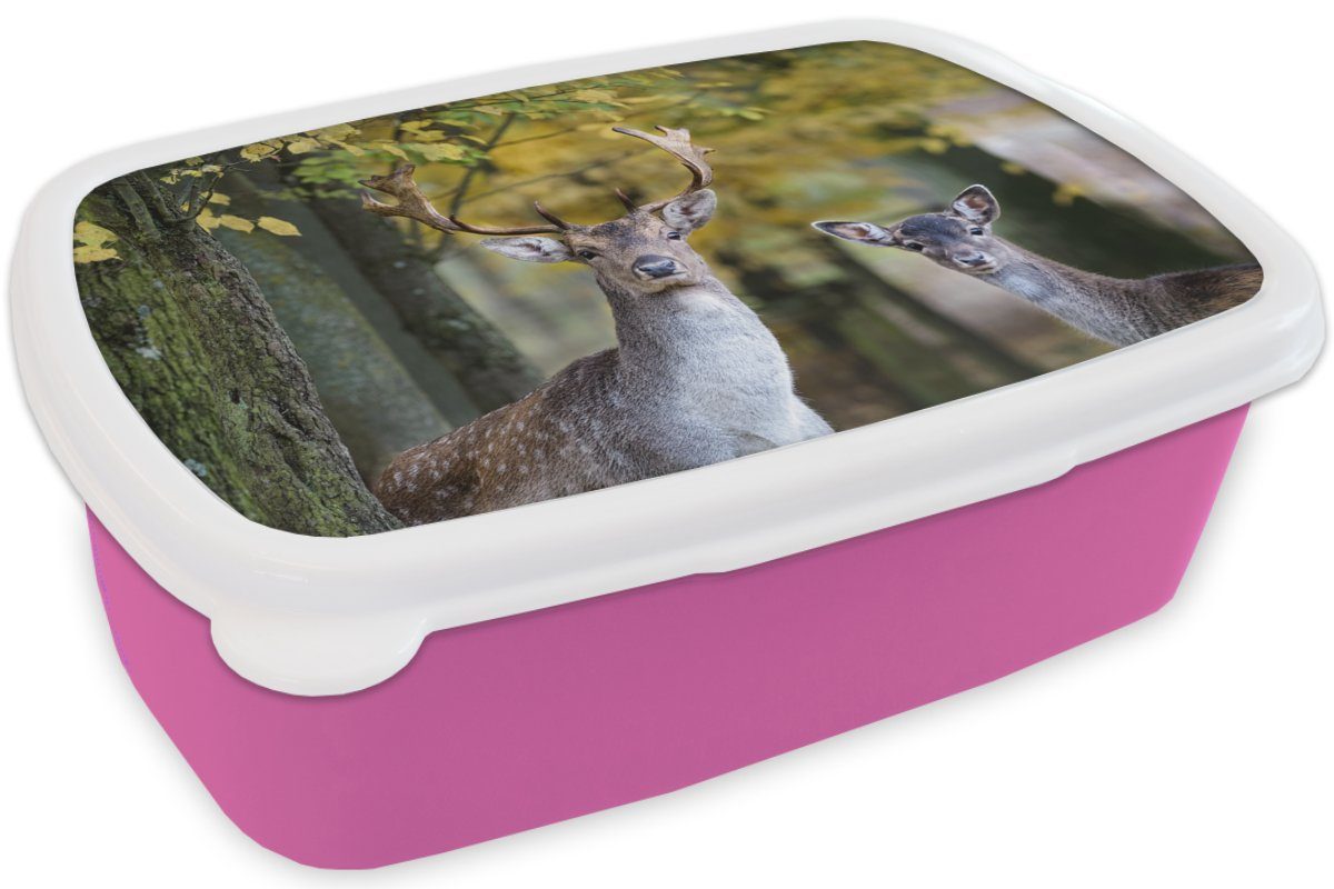 Snackbox, Mädchen, Kinder, Kunststoff, Lunchbox - Kunststoff Brotbox Hirsche Brotdose für (2-tlg), rosa - Baum, Tiere Erwachsene, MuchoWow