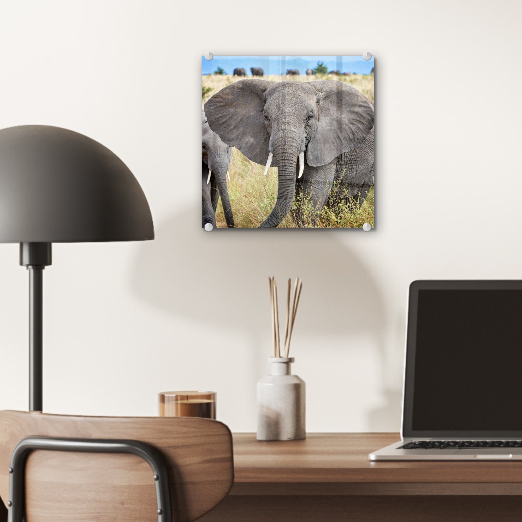 - Glasbilder Glas Natur, Tiere Glas Foto (1 MuchoWow Elefant auf - - - Wanddekoration Acrylglasbild - Bilder auf - Gras St), Wandbild